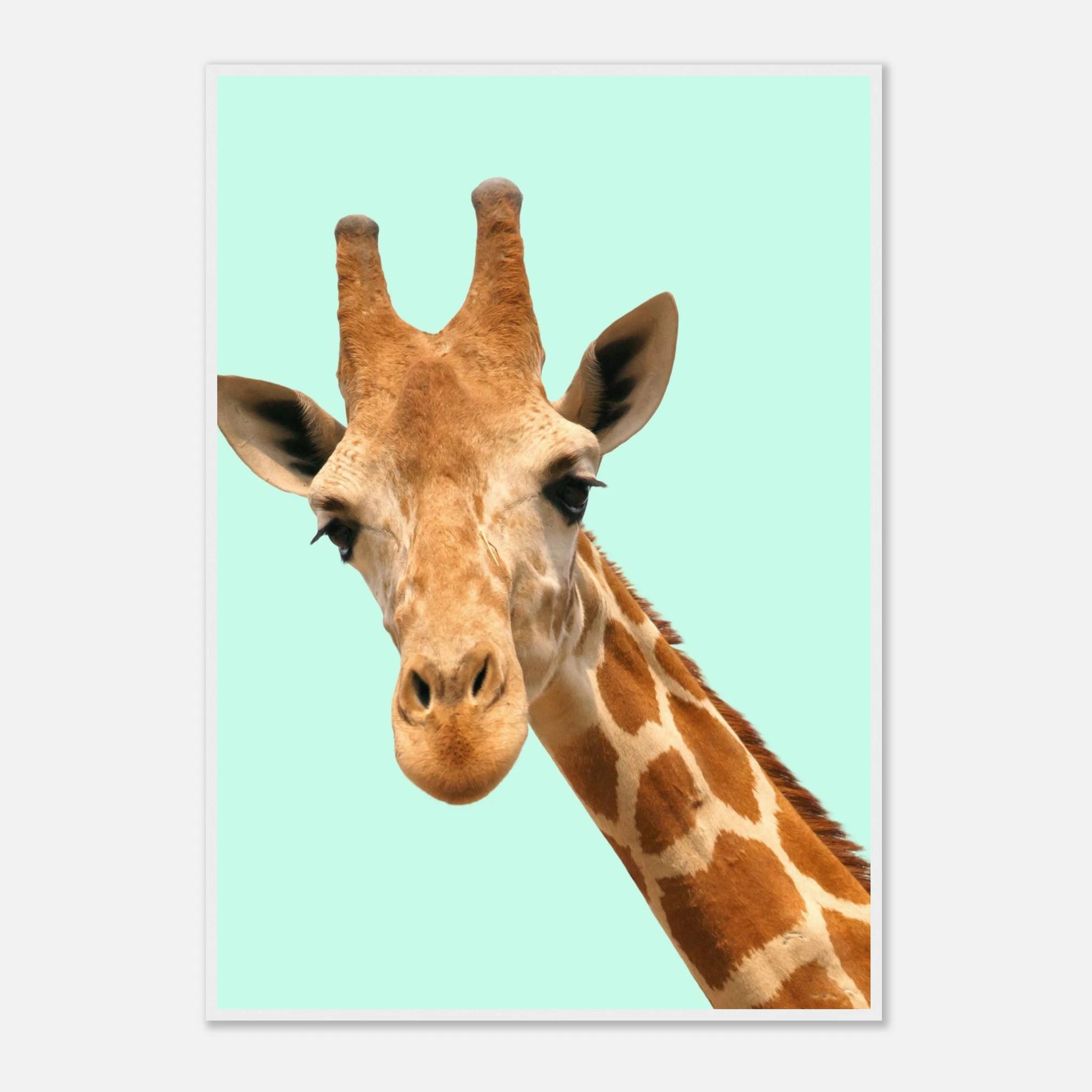 2b64dc68-598f-4b1c-baab-369fbc564a7d