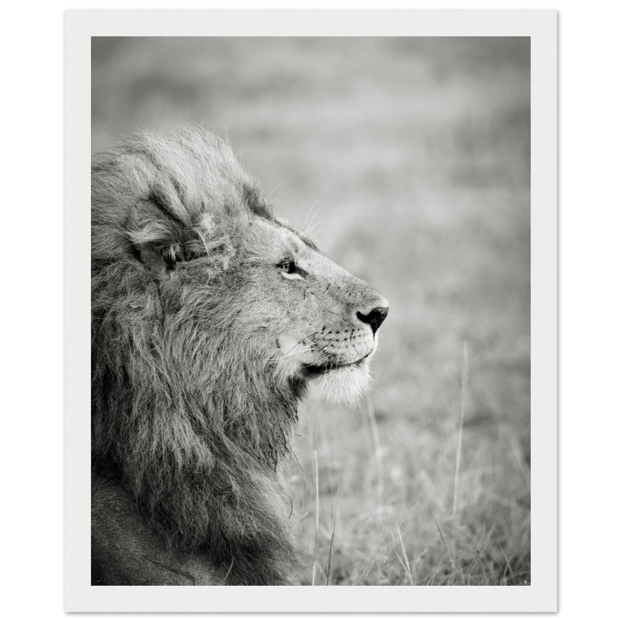 2b744469-e10b-473d-8e2b-6a59a77623b1