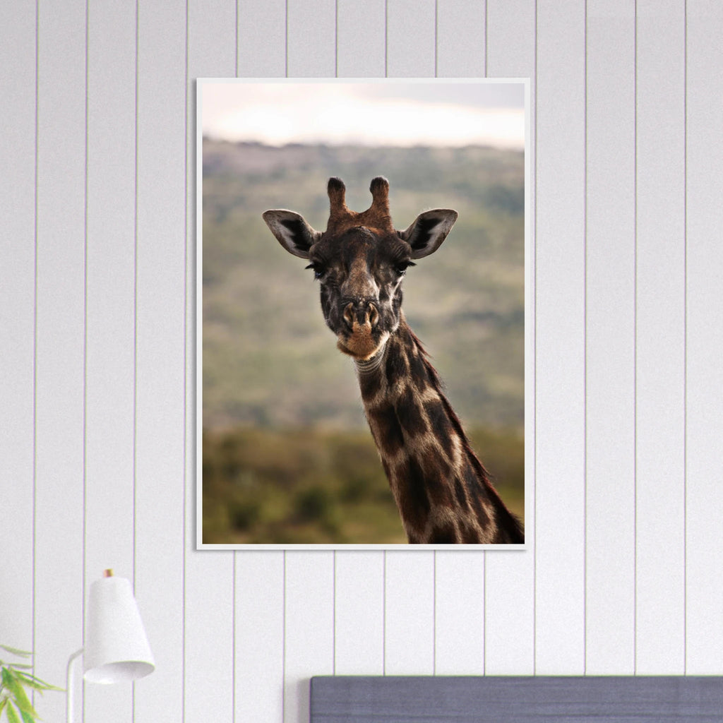 2bb1e113-212e-4613-822c-858f2aa6a0d0