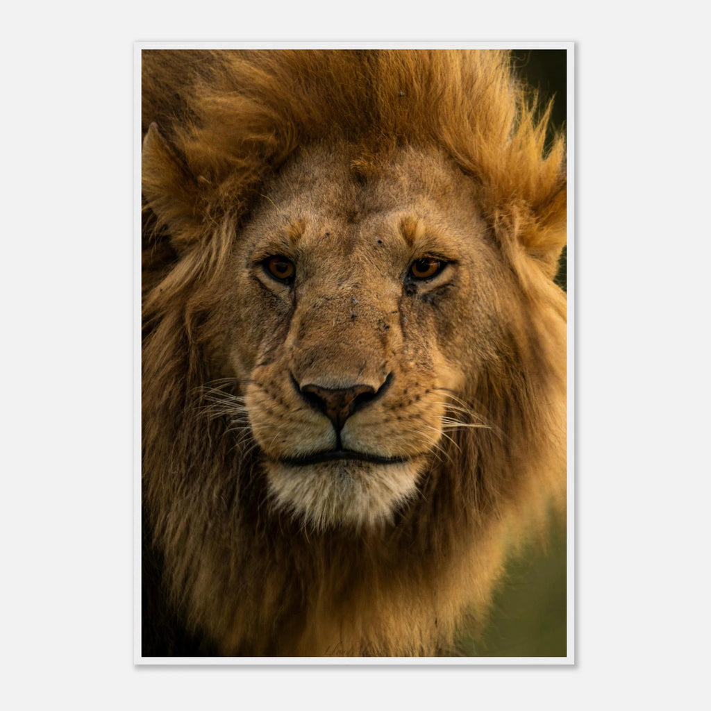 2be4dd34-7ca3-4373-a767-48b21b00170f