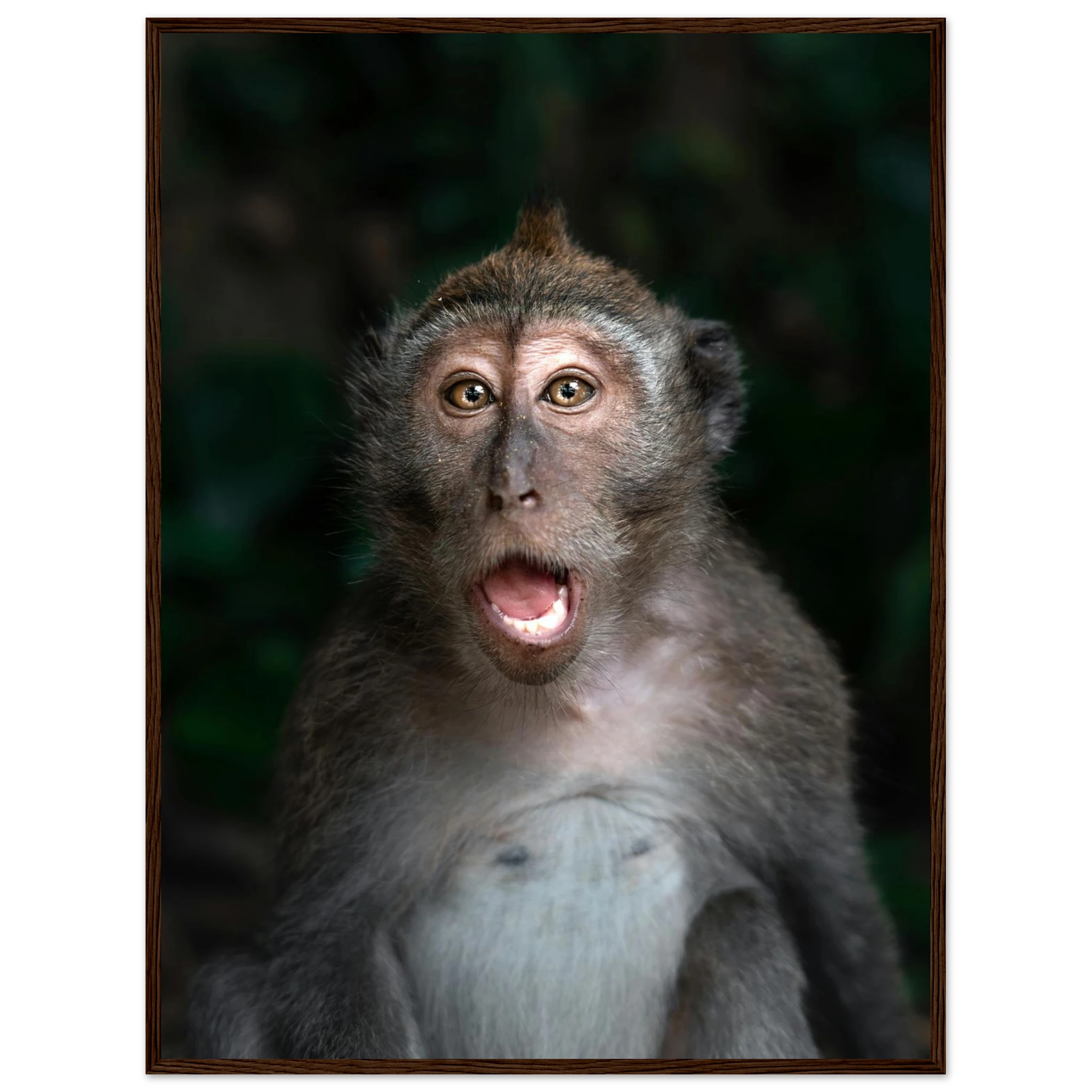 2bee00e7-7cbc-45fb-bf50-a716874e910f