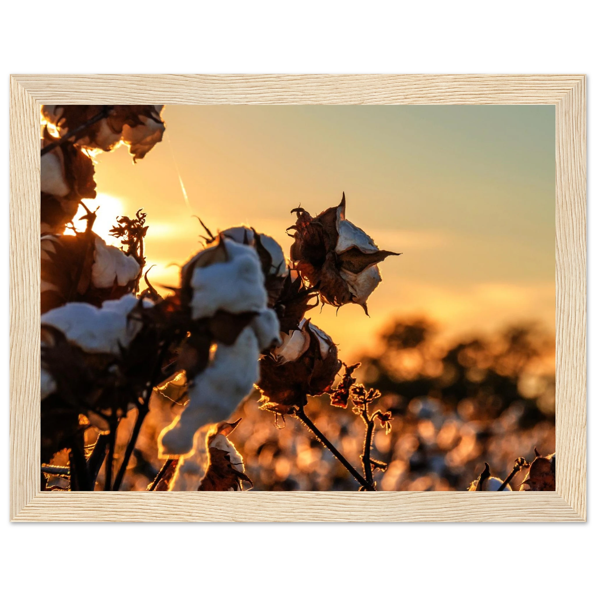 2c245a11-33bf-43d4-a4a1-b96a83fc5dce