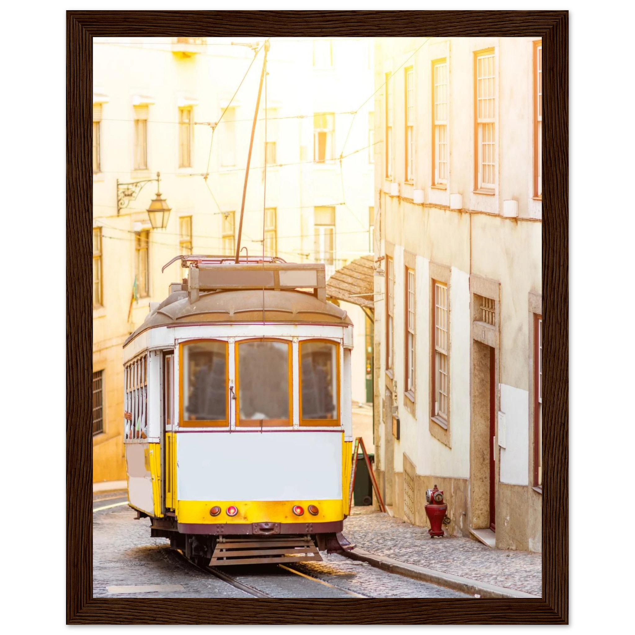 2c2bcf80-f7fc-42a5-8bb6-74507b1d3f27