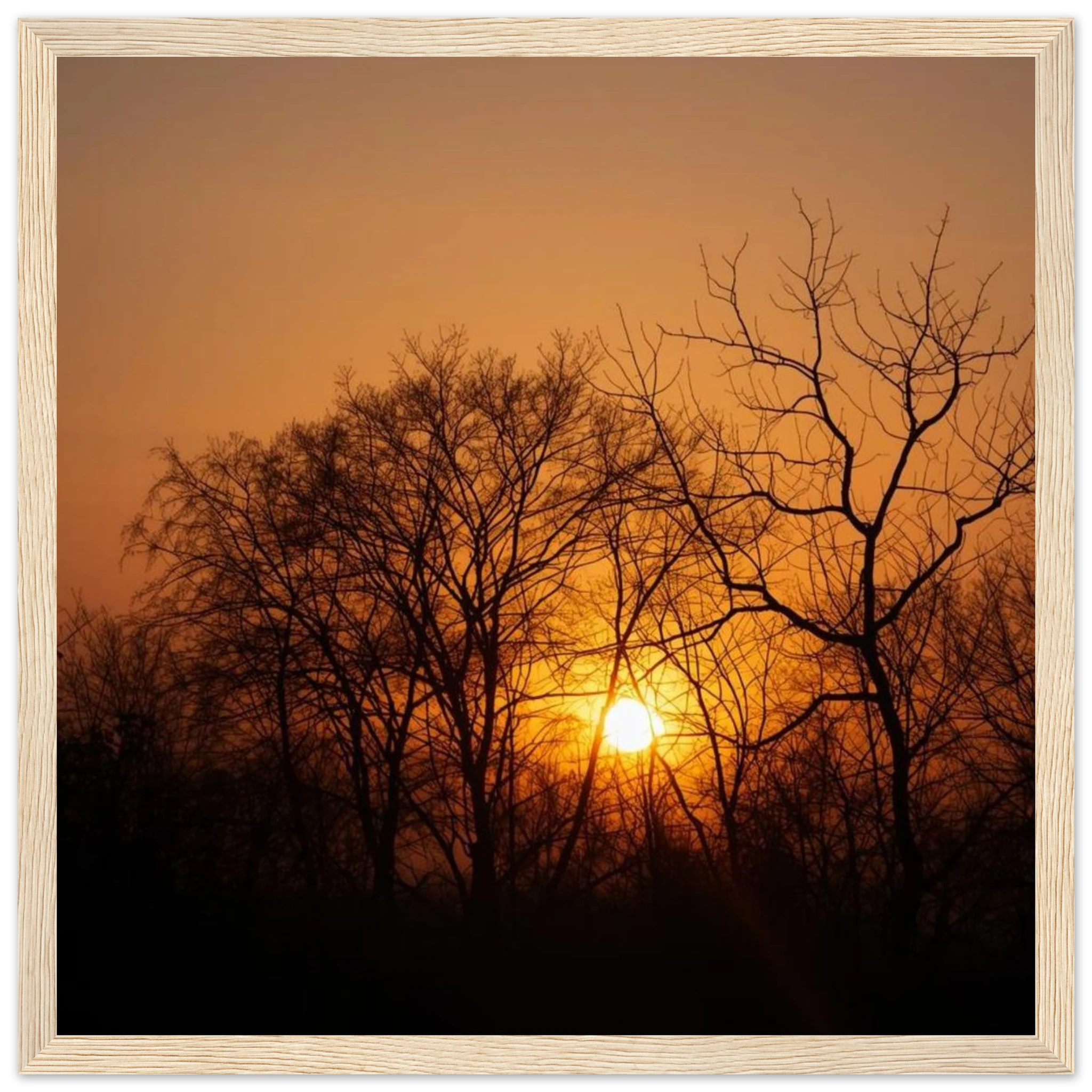 2c3bd8de-b8cf-4da3-8931-1f492d6dee9e