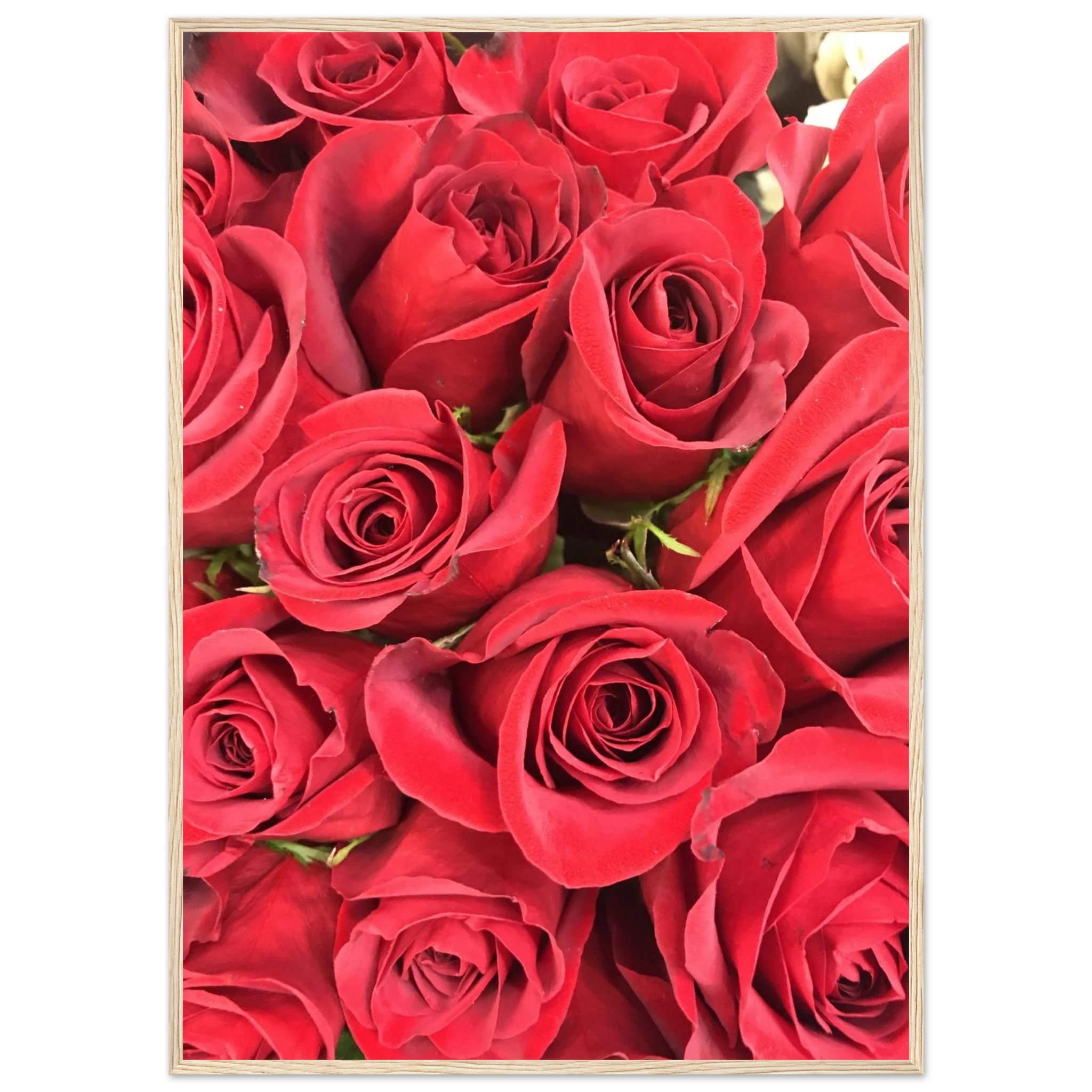 2c45c1d8-b45b-4ecf-bb42-d6c446a7da7f