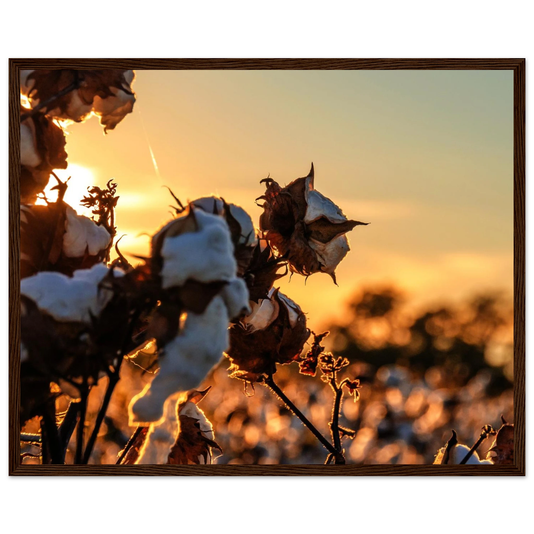 2c472082-b0dc-402d-a345-b7af93f7cdc8