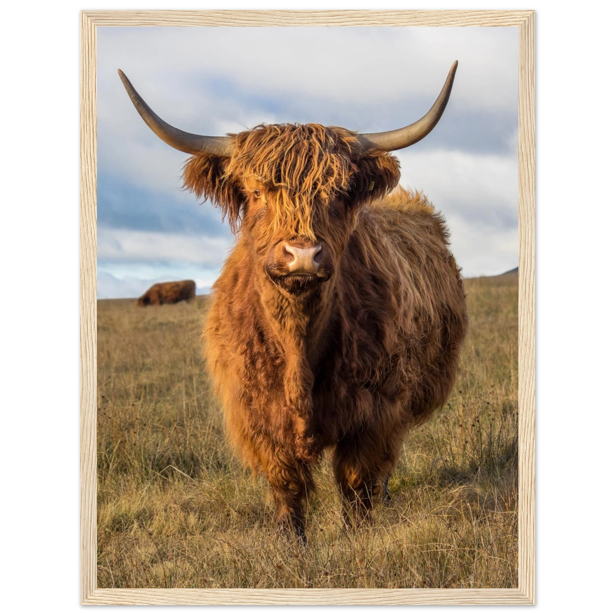 2c709944-469b-4268-ada2-e6570f75ec71