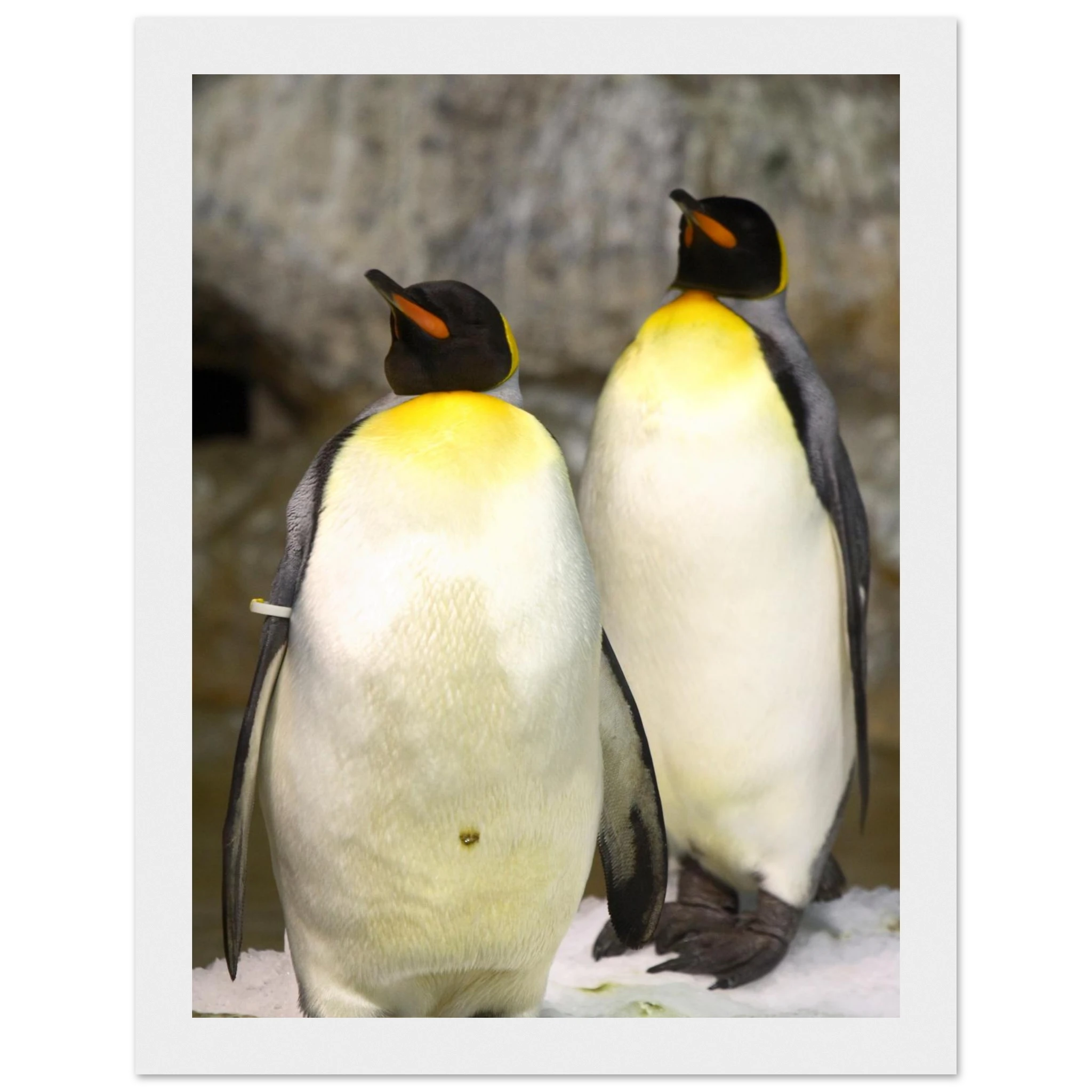 2ca3a61d-5784-473c-8d46-40f7a8b71c60