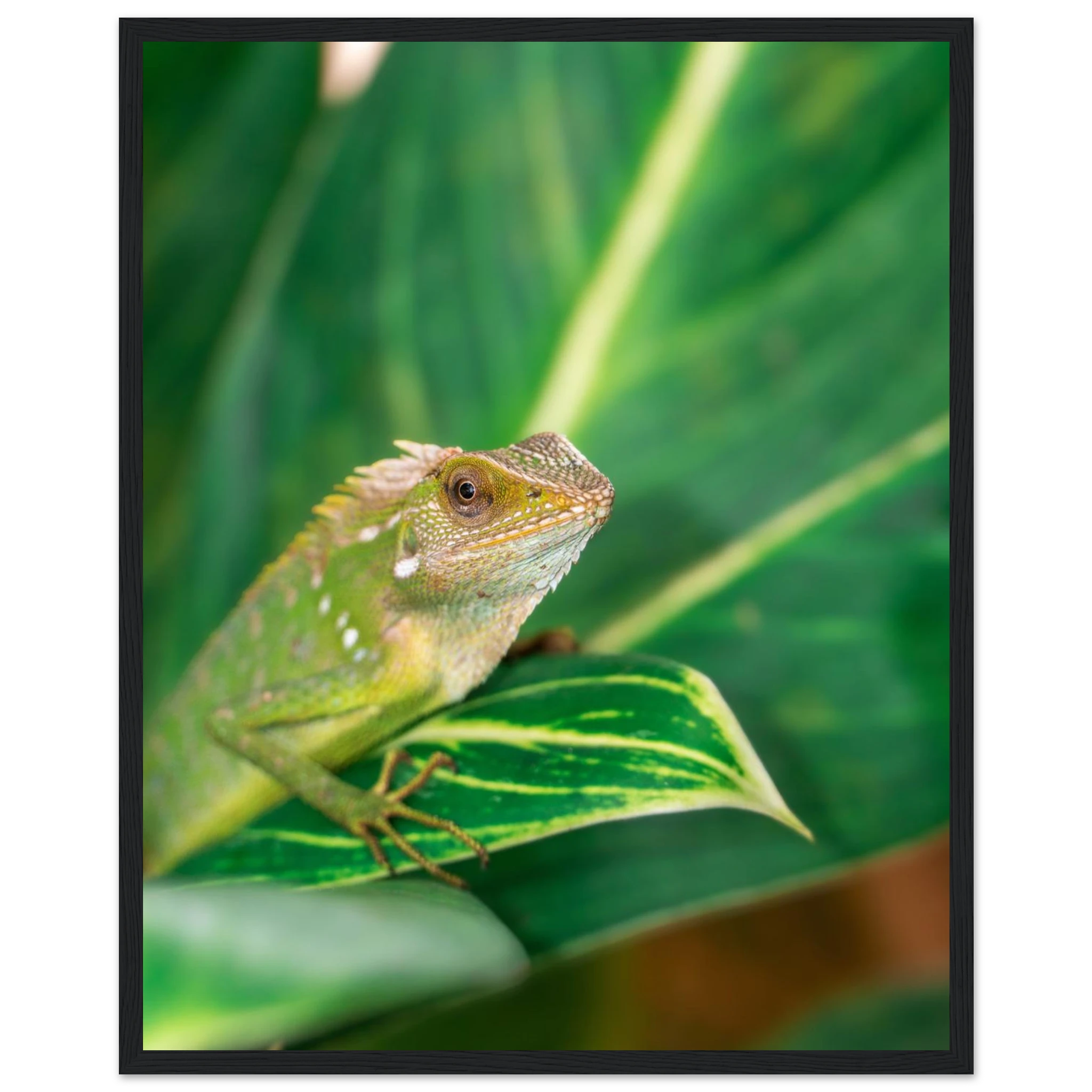 2cb17bf2-3165-4d9e-9832-627b7666100b