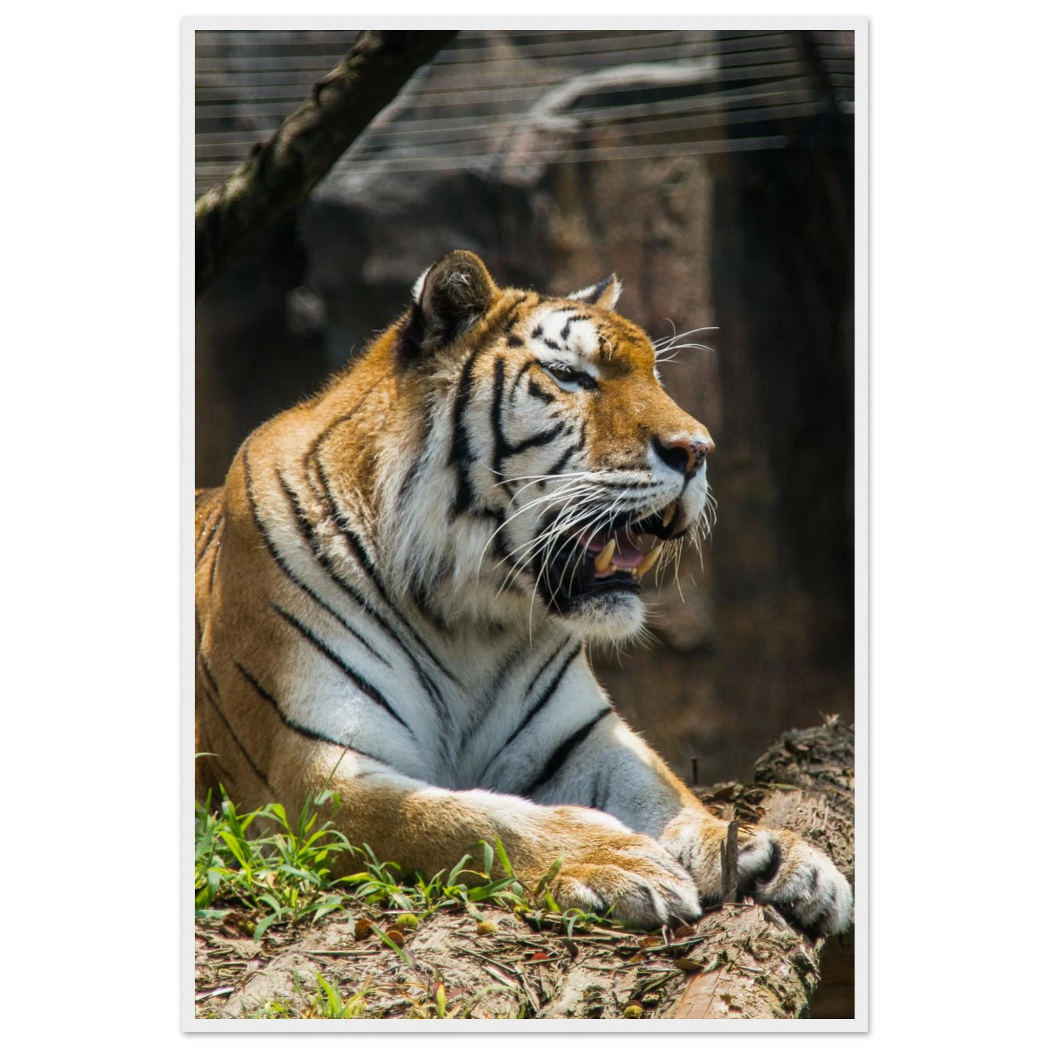 2cbdd0f3-c043-456f-8a5a-f89dee8b6f64