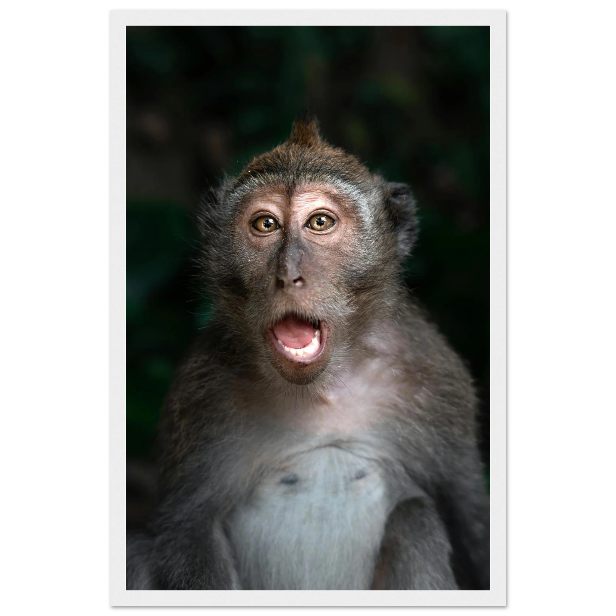 2ce52f31-cb0d-463b-867e-92693bed9781