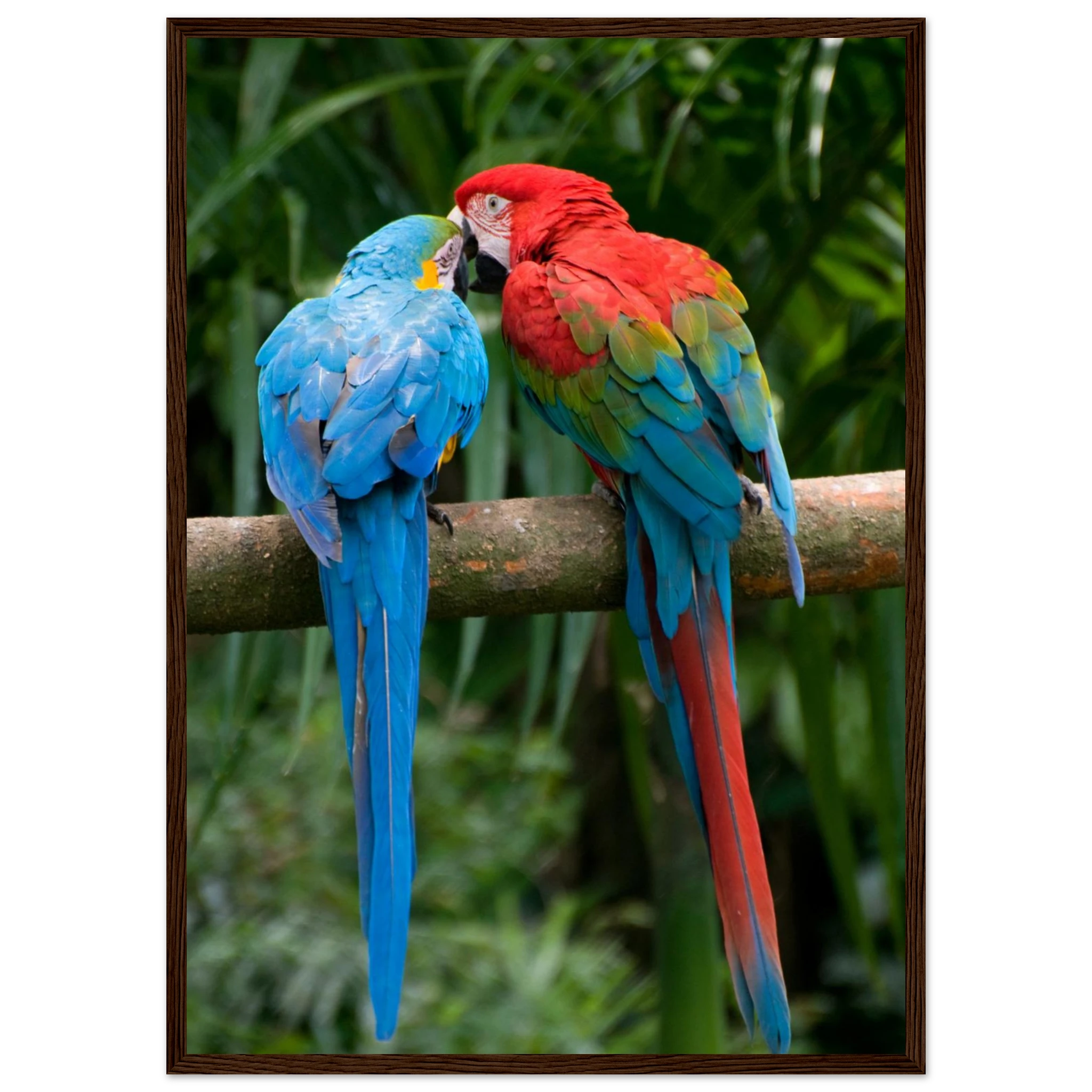 2ce978d6-836a-4cf5-b704-57eb414ae889