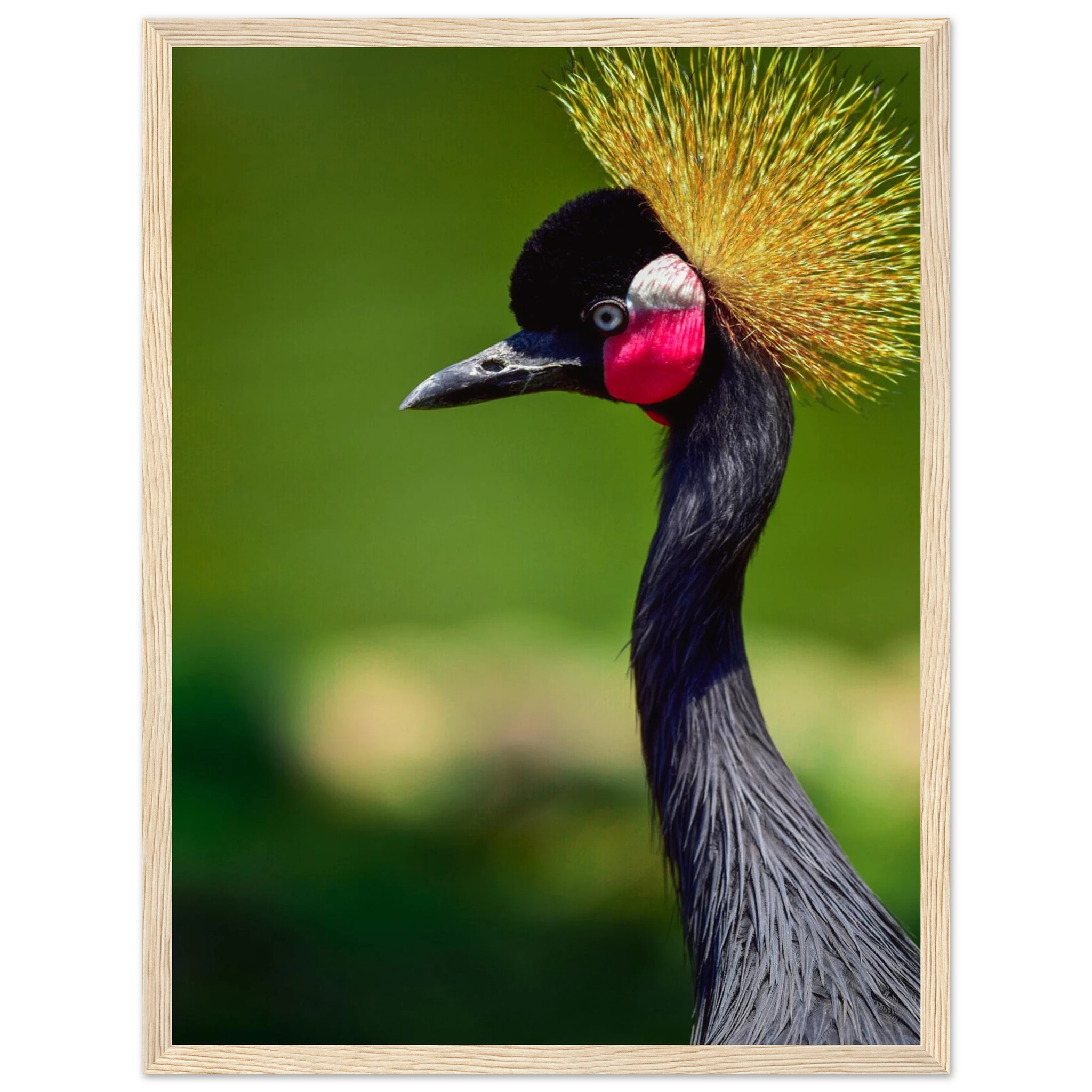 2cee7734-5c90-46c9-8264-032d21320d64