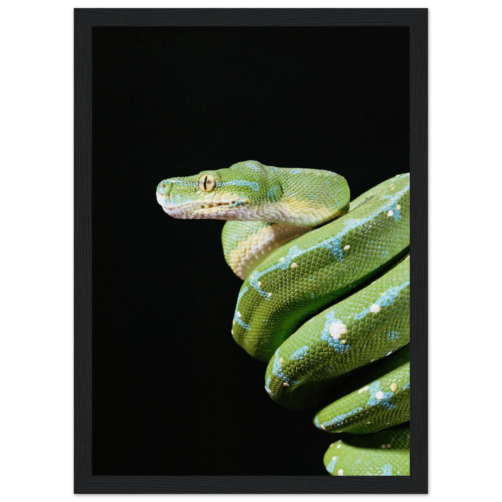 2d13eb93-b485-417c-a25a-2d723b8888f0