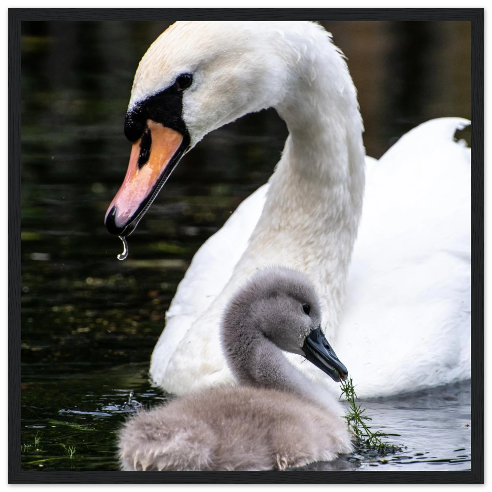 2d163a82-2070-4099-bf60-5716e154a961