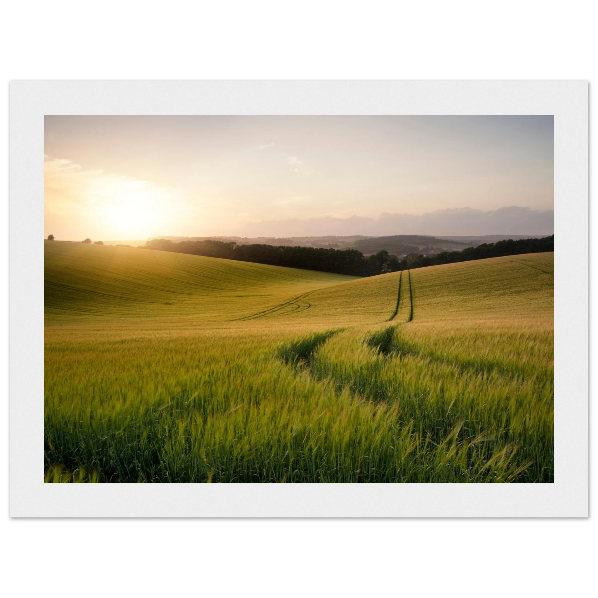 2d16490f-97d0-4b7d-a8ac-75c68a4fc7ec