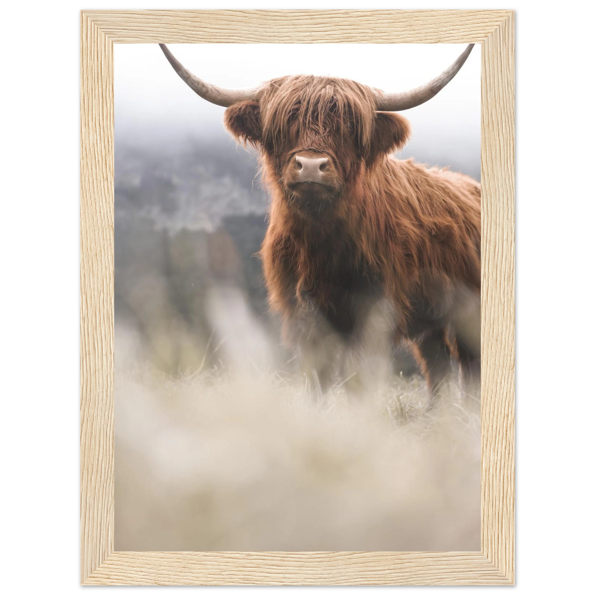 2d1b3e7b-55ed-4406-9a70-1b169fe84f0c