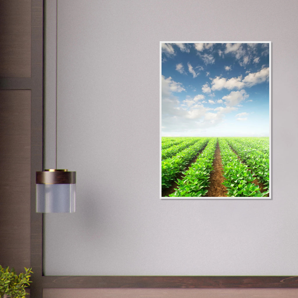 2d3378ce-7965-4f99-8aad-29b40f5d97f6