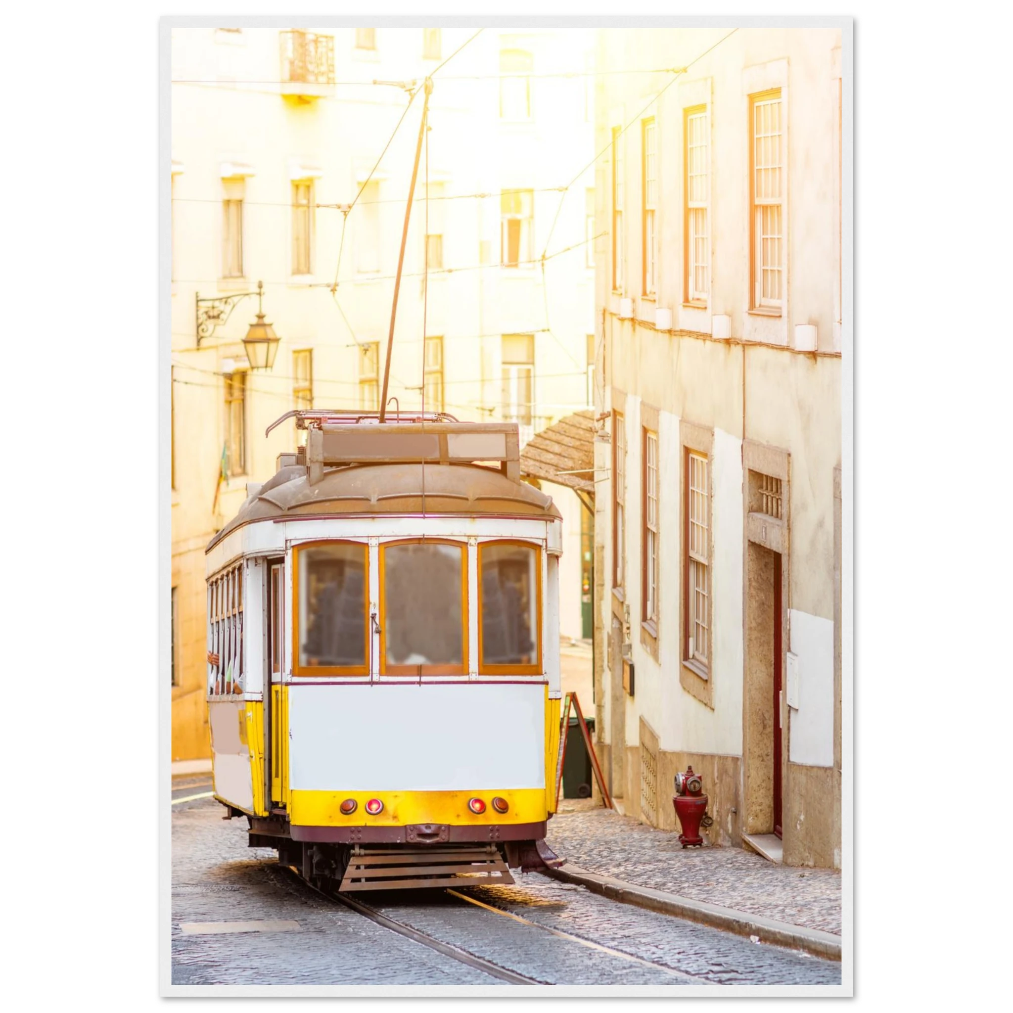 2d34de1d-d997-404e-88dd-a4b38e7b4d88