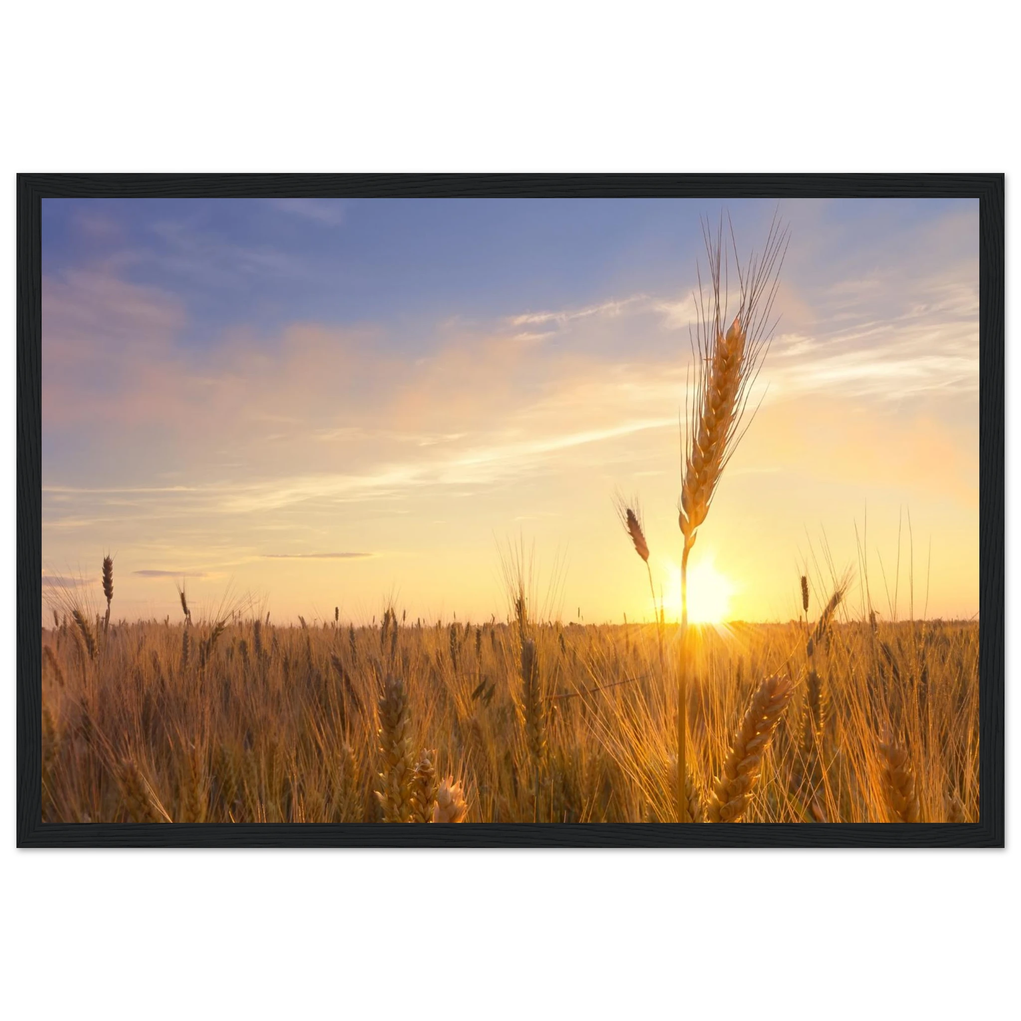 2d3fbb18-113c-4603-ba0b-ac333d1e5756