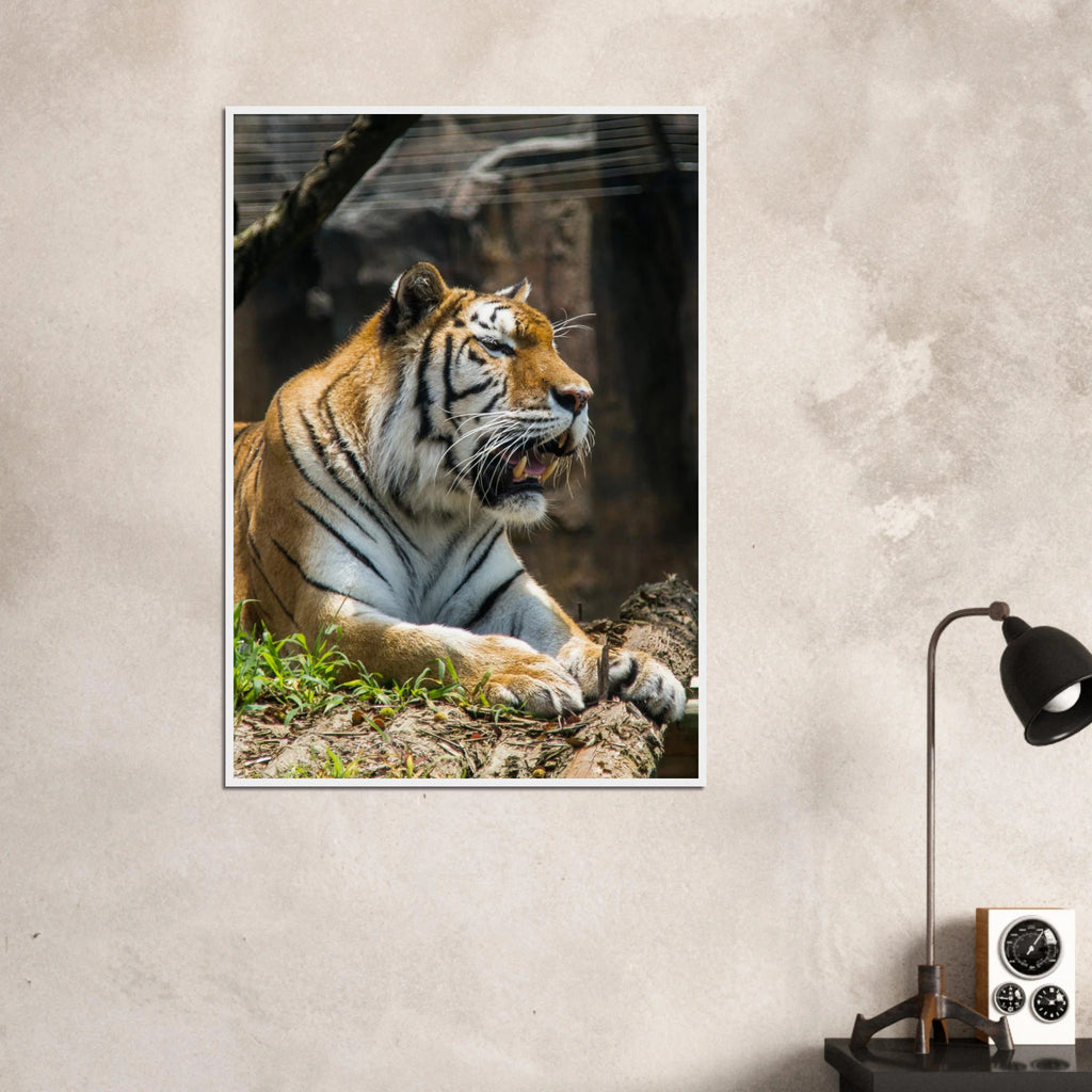 2d42e5ae-624d-4466-a58a-e0d8c1e1c0cb