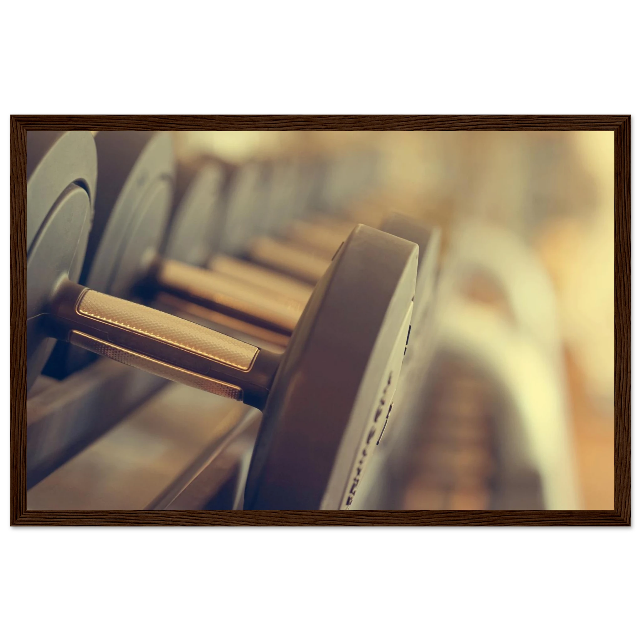 2d553e22-b686-485f-993b-5b31a34ca606