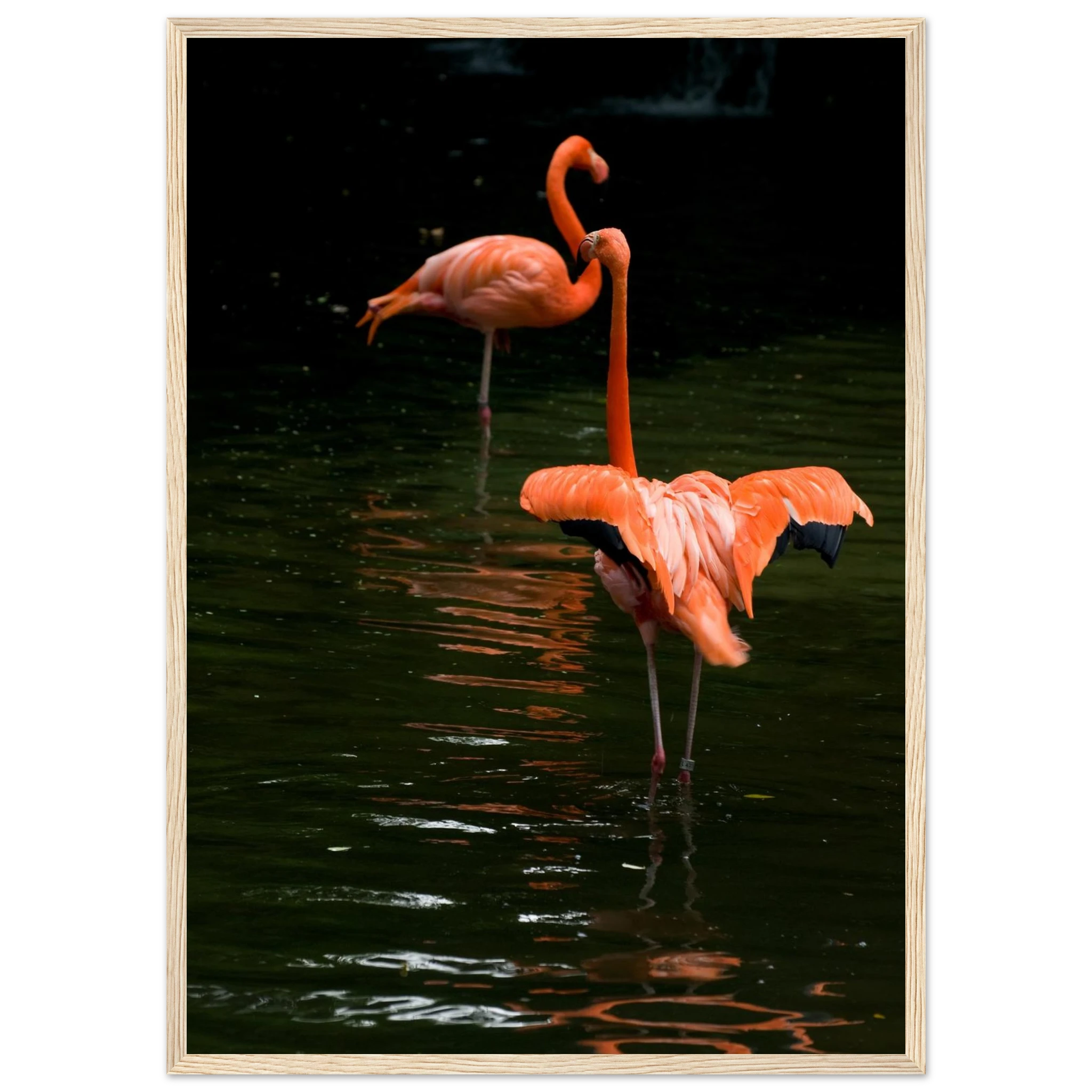 2d5da755-12d6-4b1e-899a-38b213396bc2