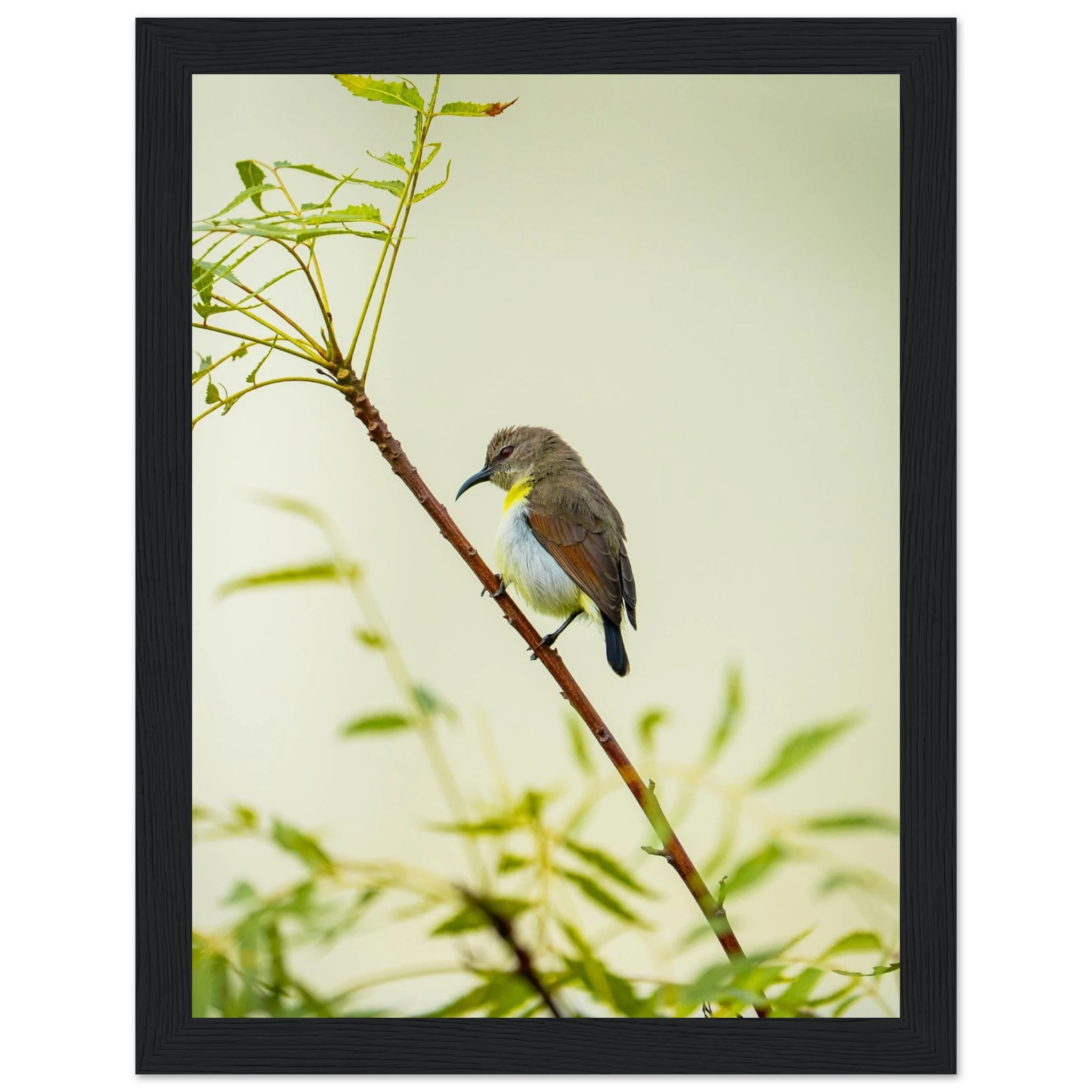 2d6c24bb-5b5d-4bc4-bb37-1e0c0c4ee6bf