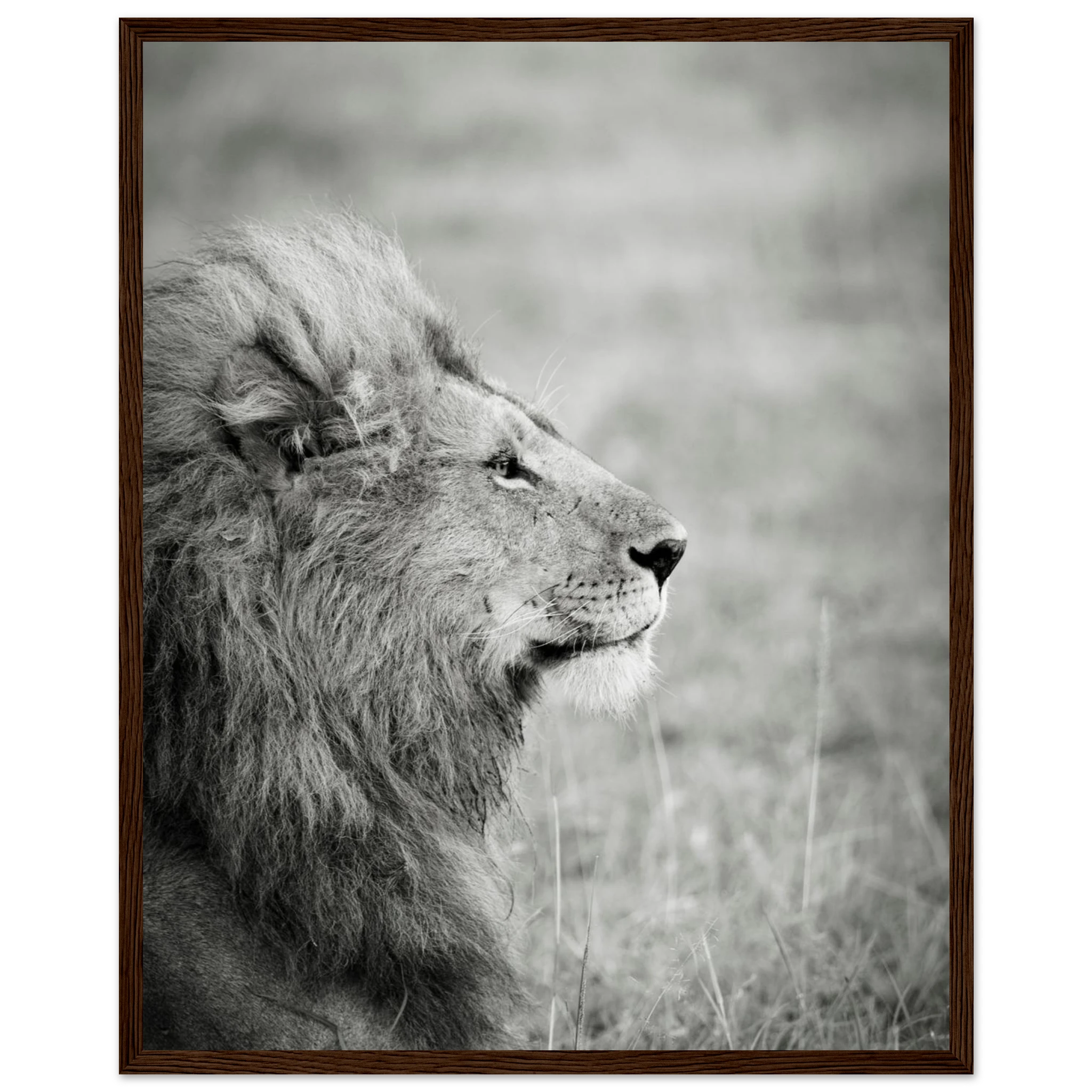 2d95eb25-d8e9-4bd0-971e-e54f5ed1267e