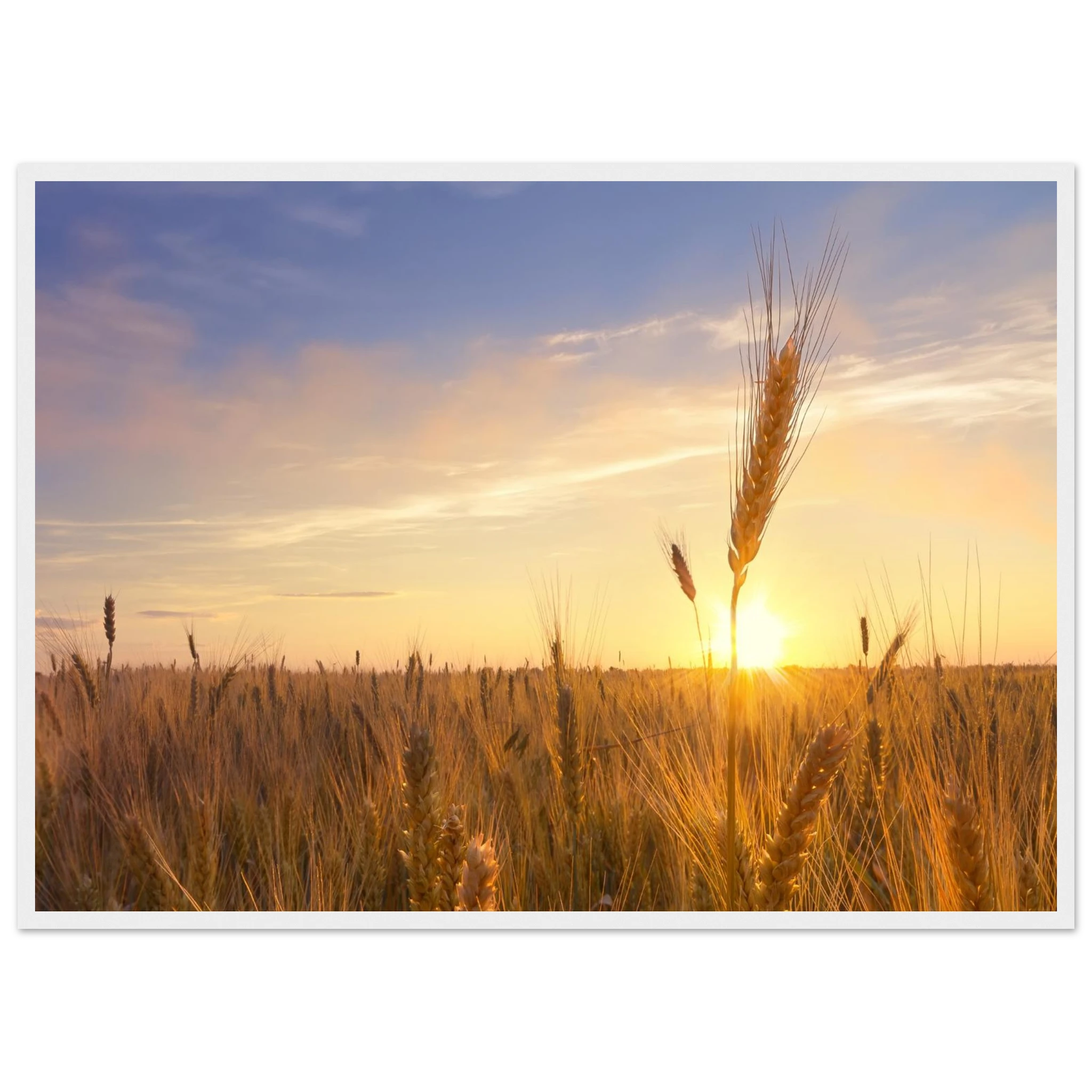 2d9b51f9-156b-4053-b0b1-c72223f54e45