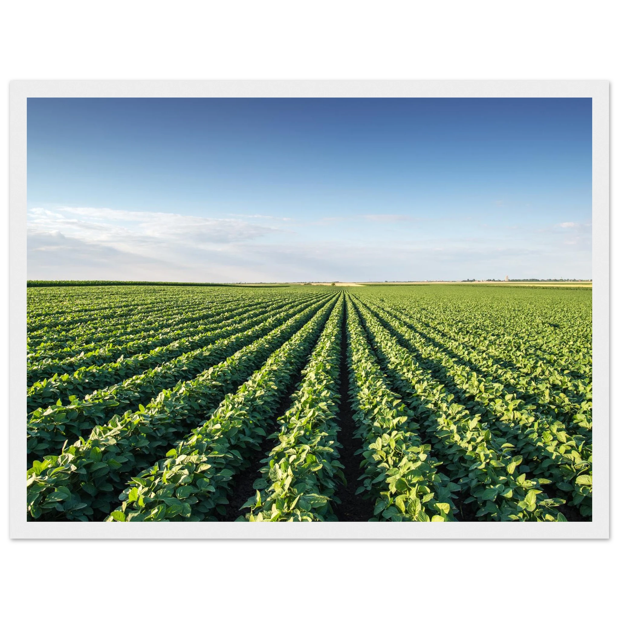 2dcafe35-93af-4478-92f4-4571b88a0553