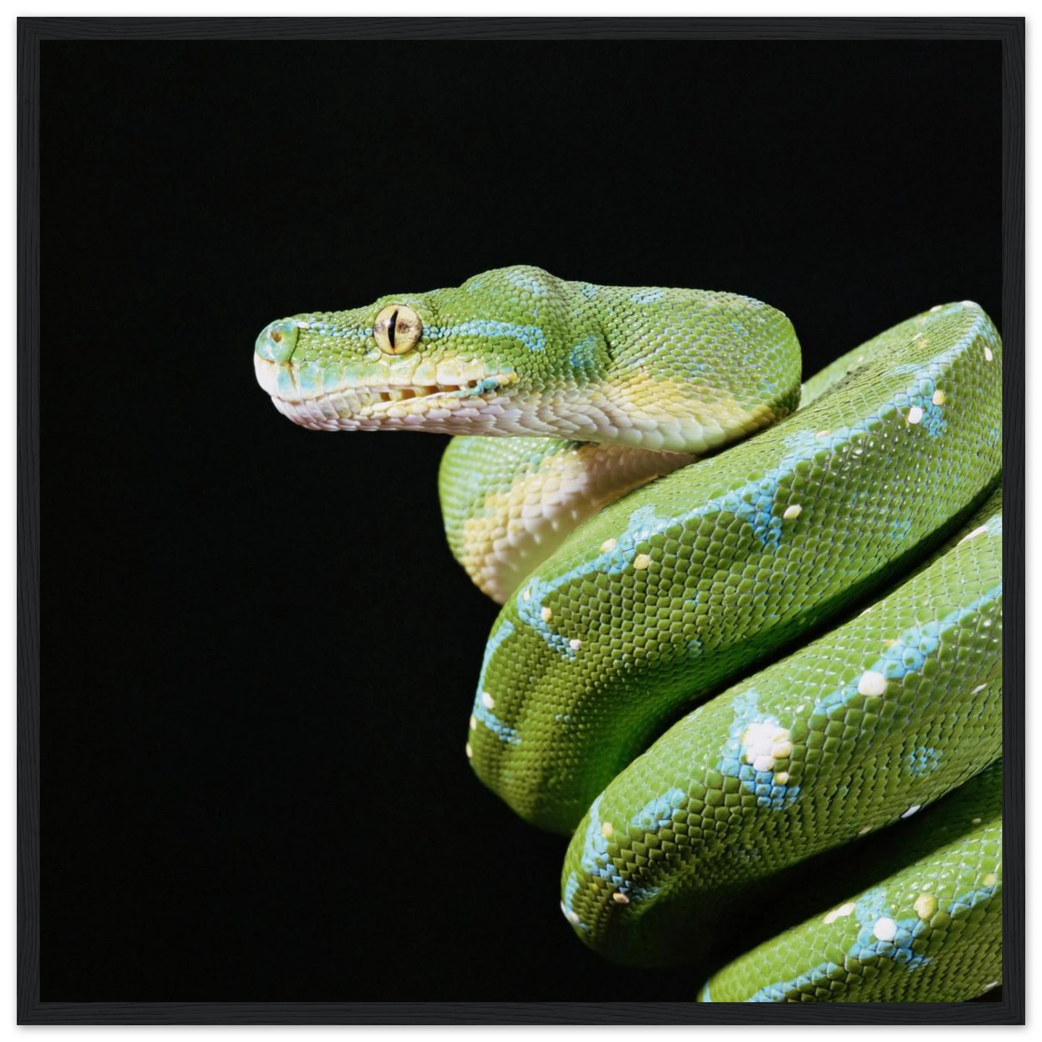 2deb7ce4-a47e-4e58-9bd2-dd4d221610a5