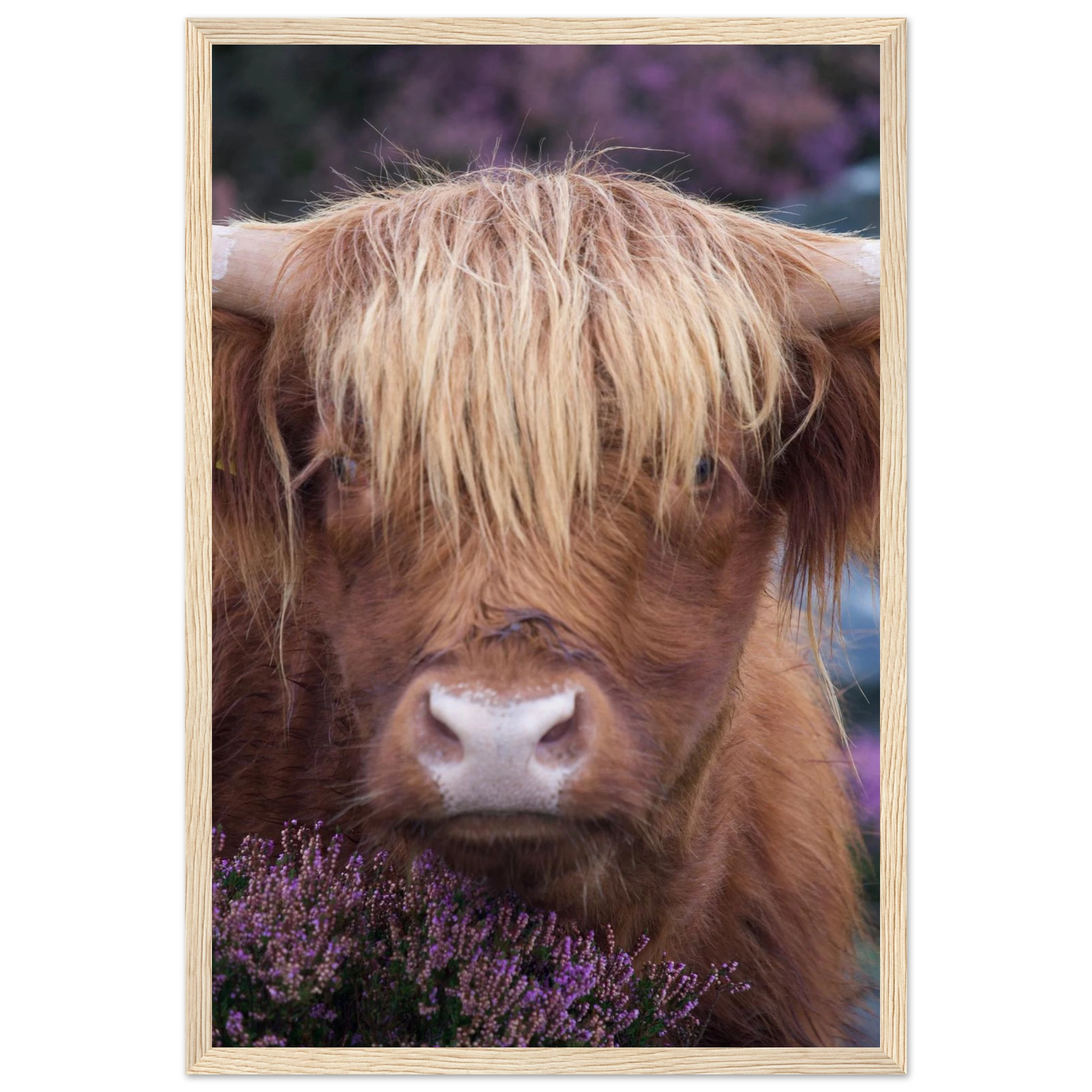 2df0320c-54bc-4c77-8376-fd5d5e0000f6