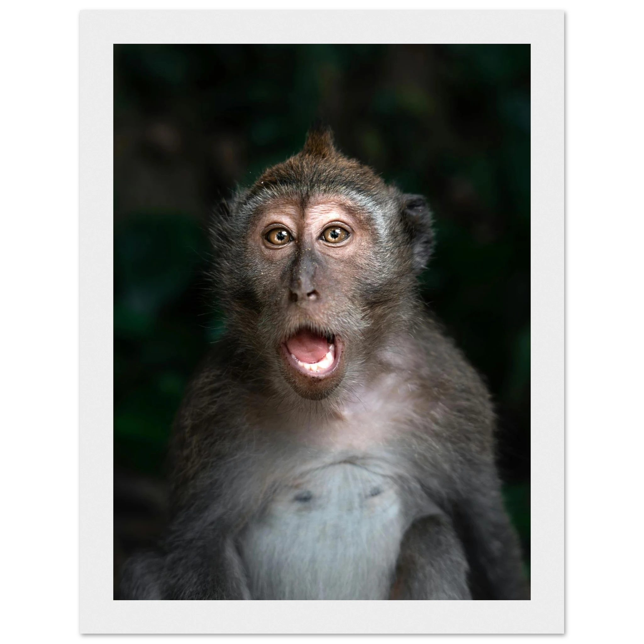 2dfa22f5-f98f-4388-8c52-0b6f3d1d8b5b