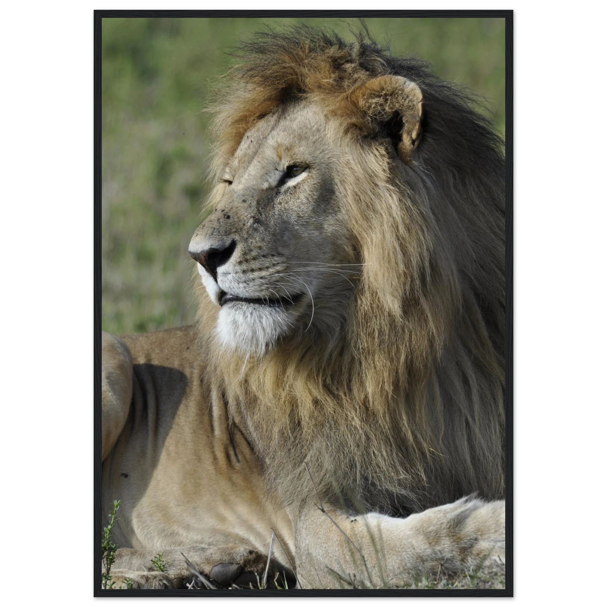 2e0ef5cd-5d6b-4176-a67e-2616abc0739f