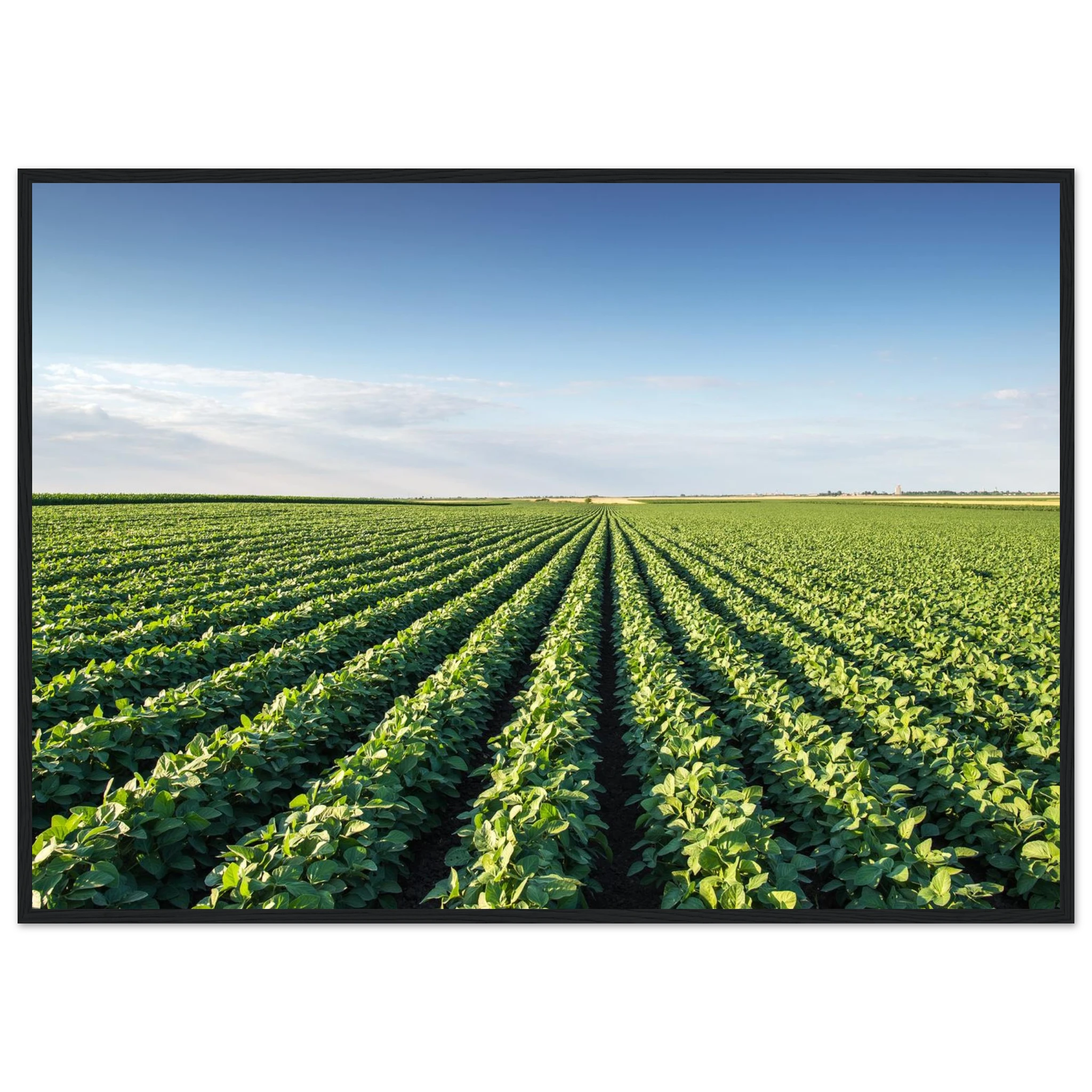 2e0f02a5-75f0-4ad4-999c-d83b5c2b2a36