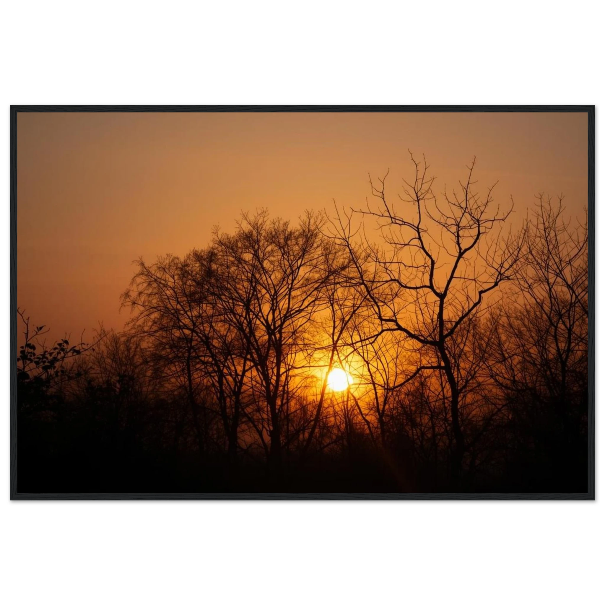 2e1dca6d-c123-495a-9d2c-44d838ed22f1