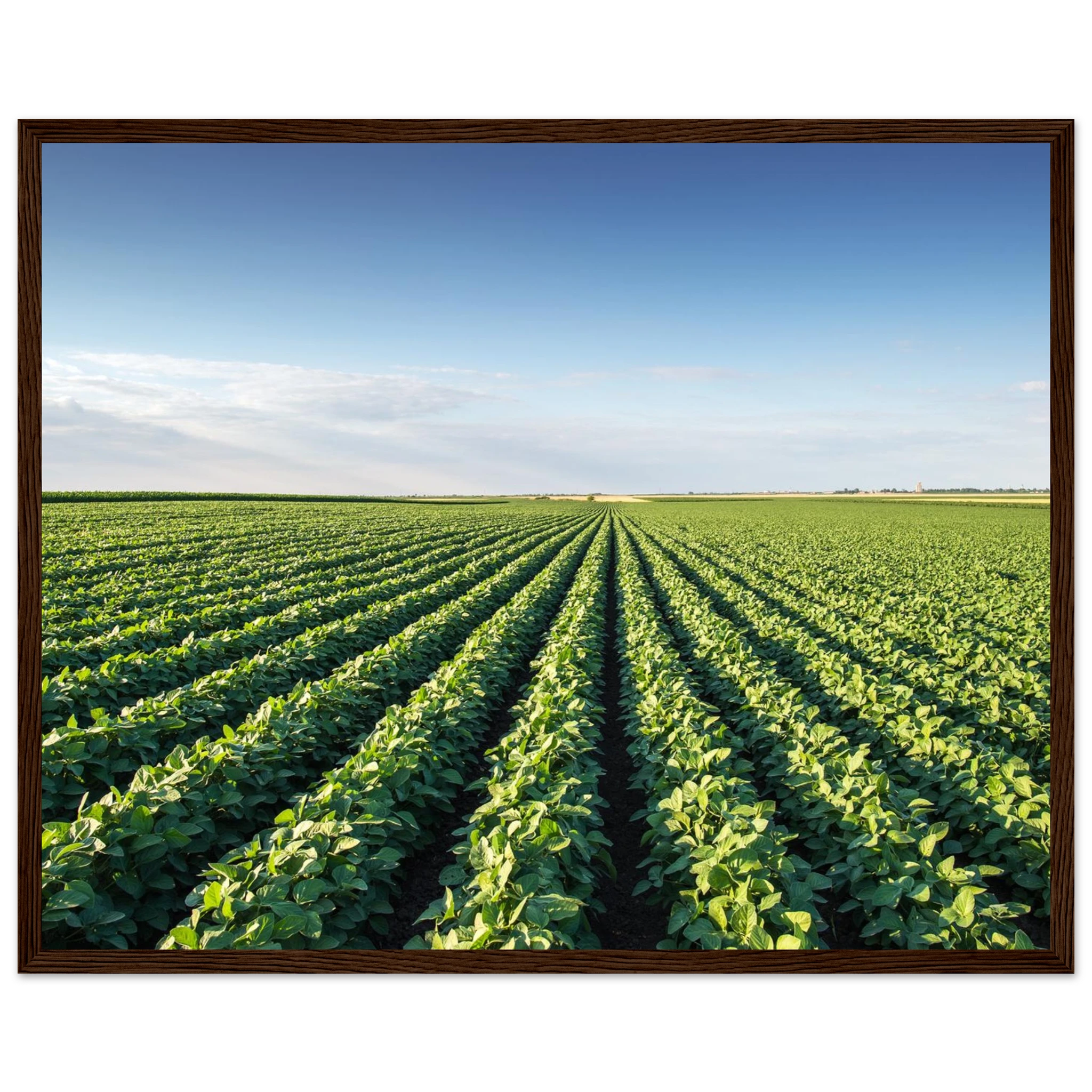 2e1f2ddc-ba25-4325-a754-3202df35ce0e