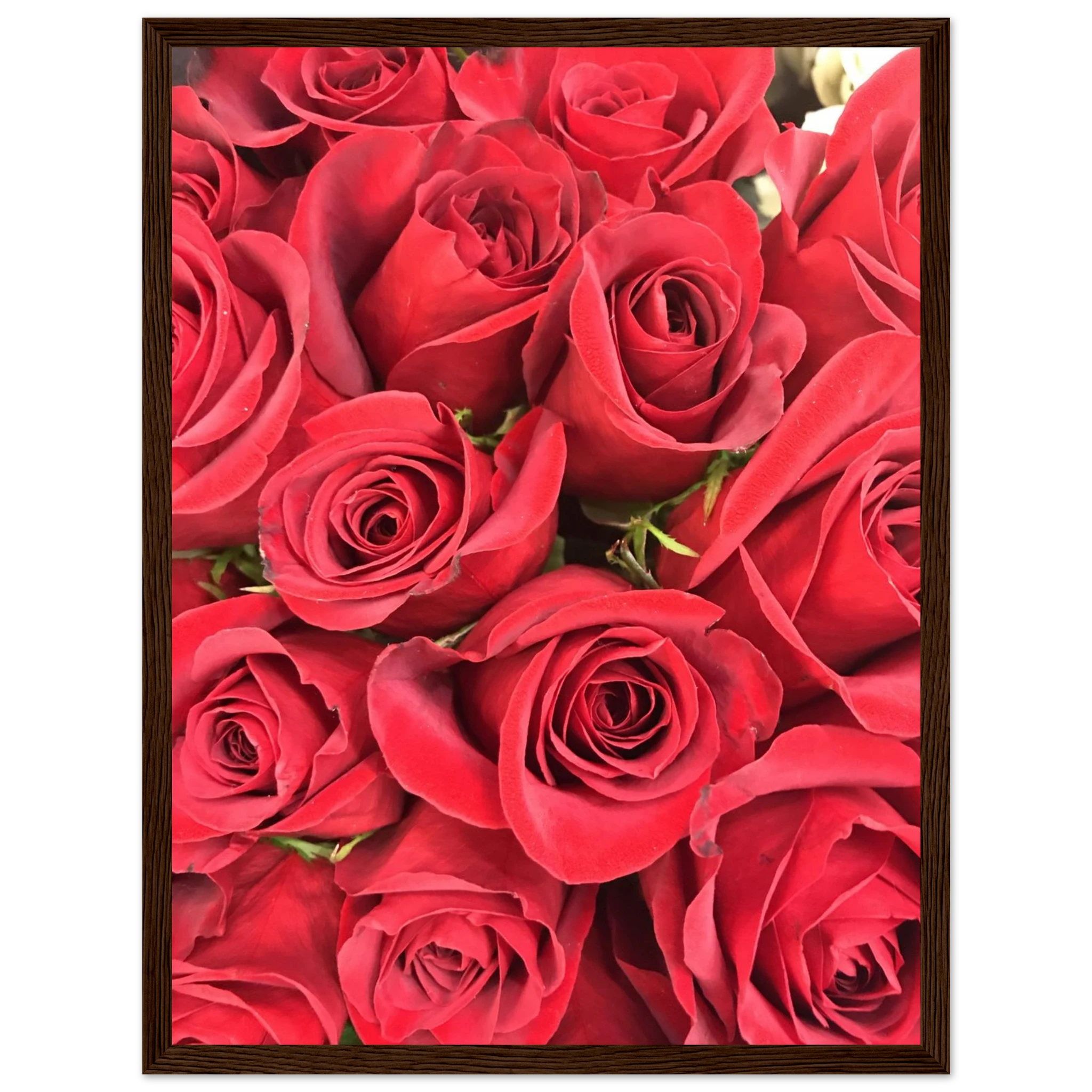 2e2412de-34b3-42b1-a669-882d90da165a