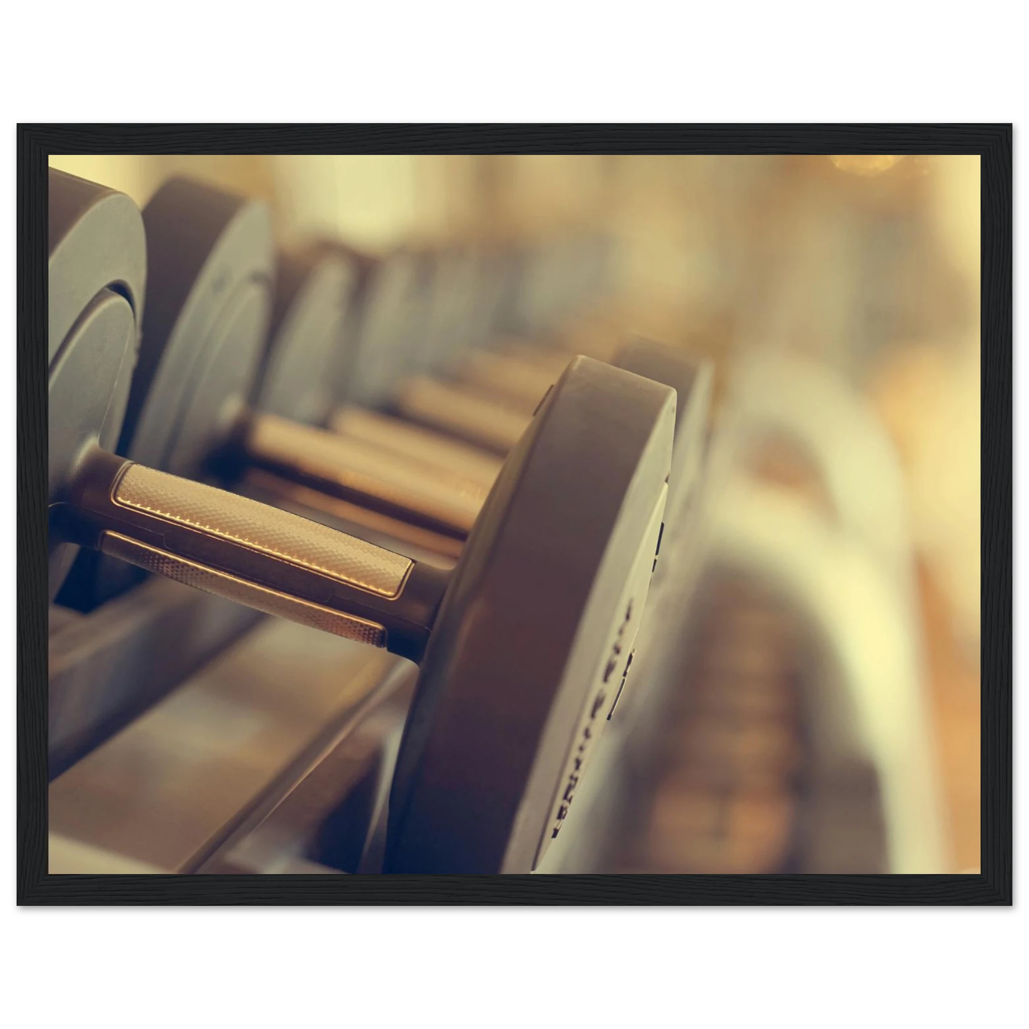 2e3de624-d0da-4f1a-a047-a83dbc735910