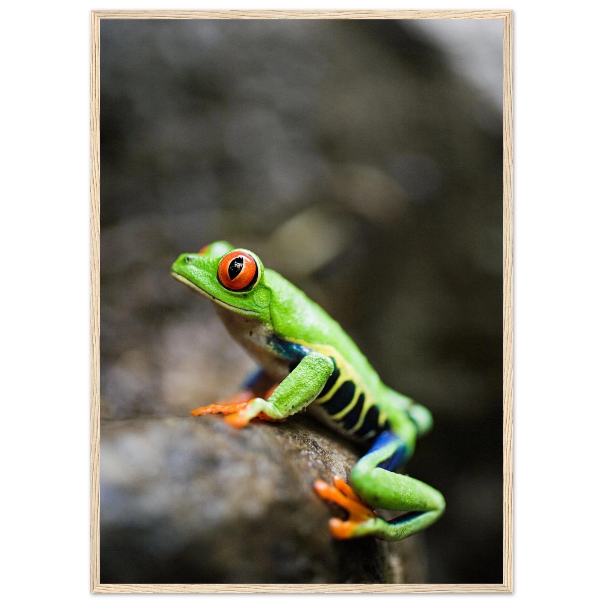 2e51f949-7aad-4b51-b1dc-d85fb91d38c9