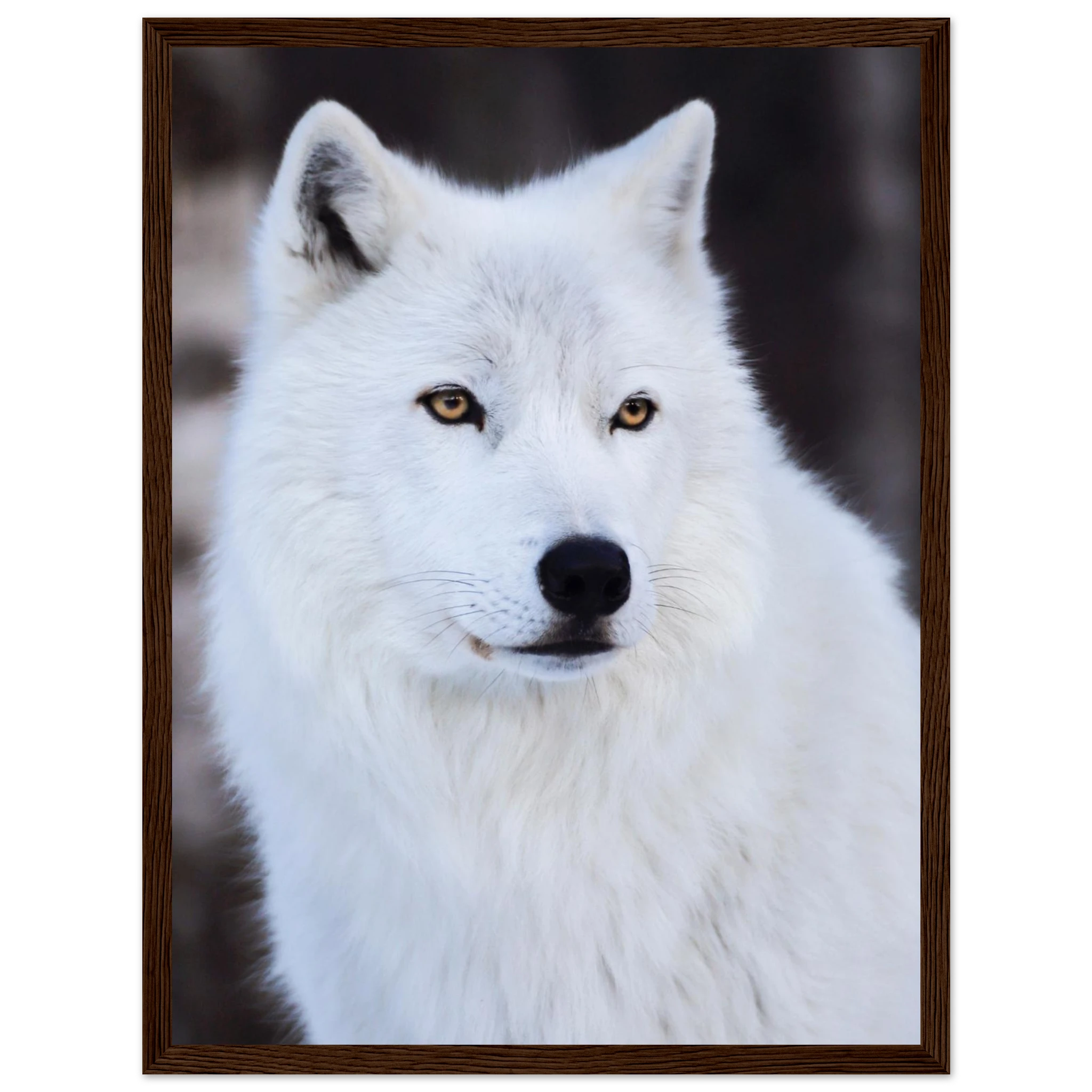 2e66daf3-a408-4963-94ed-6c3f3cca6fef