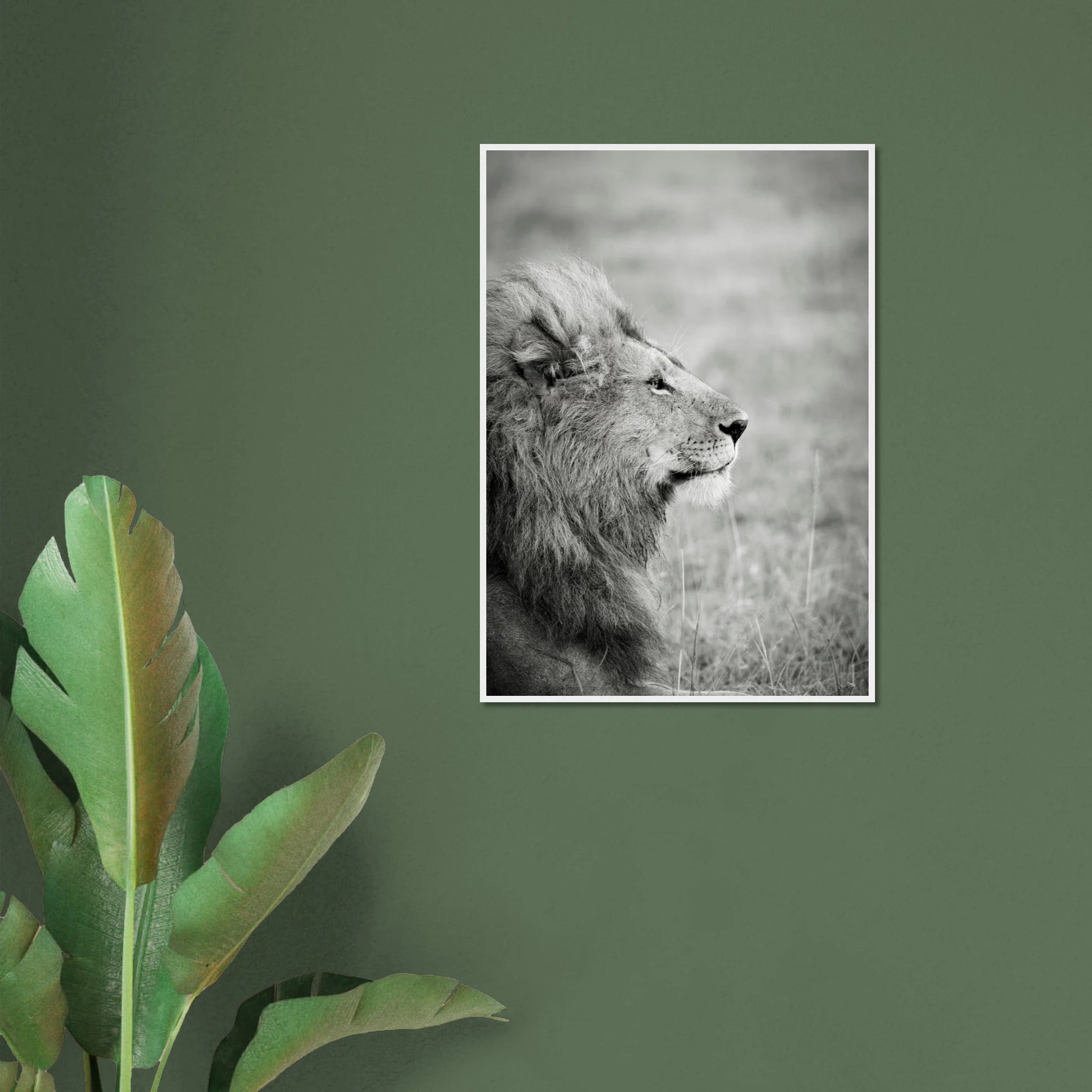 2e8bae84-39a6-49ab-a76b-e0b93c2b6d65