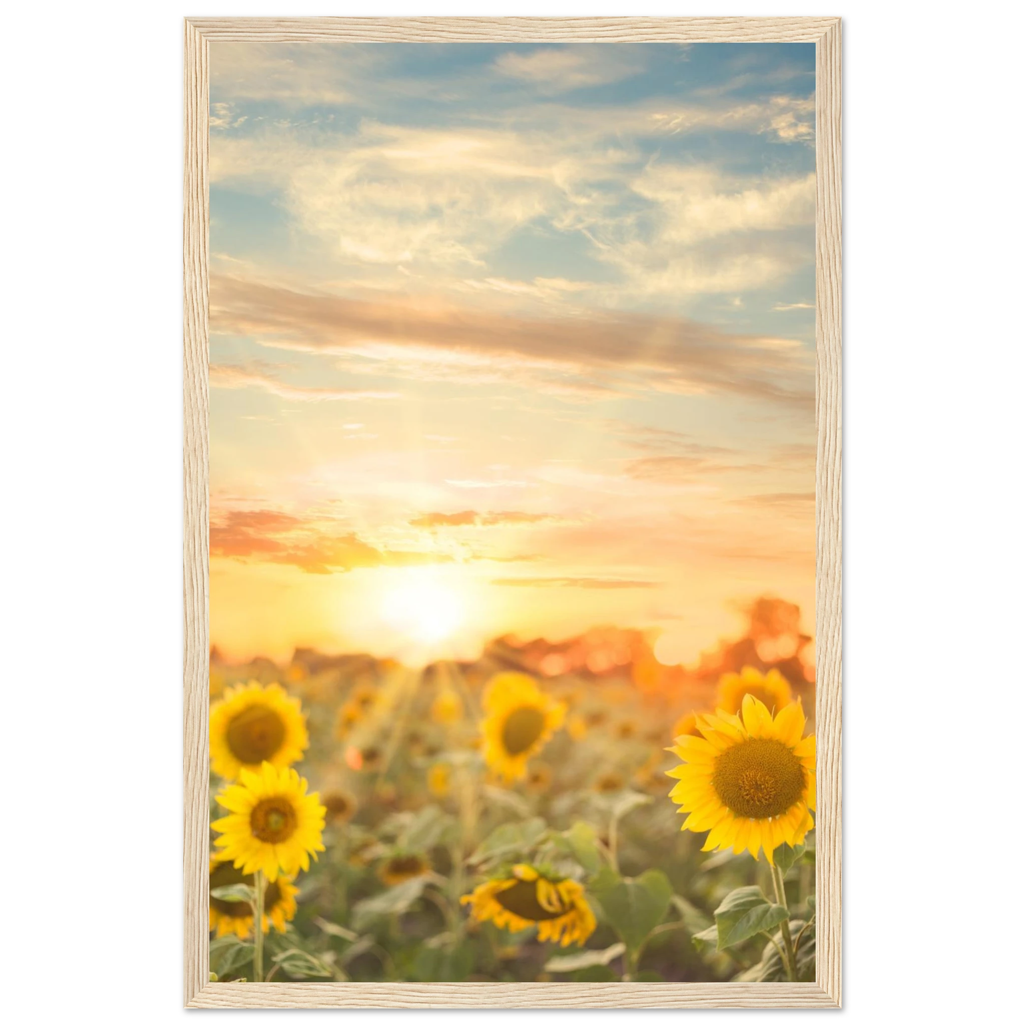 2eb633ef-ae23-4e9b-bab1-613f8a0b1e65