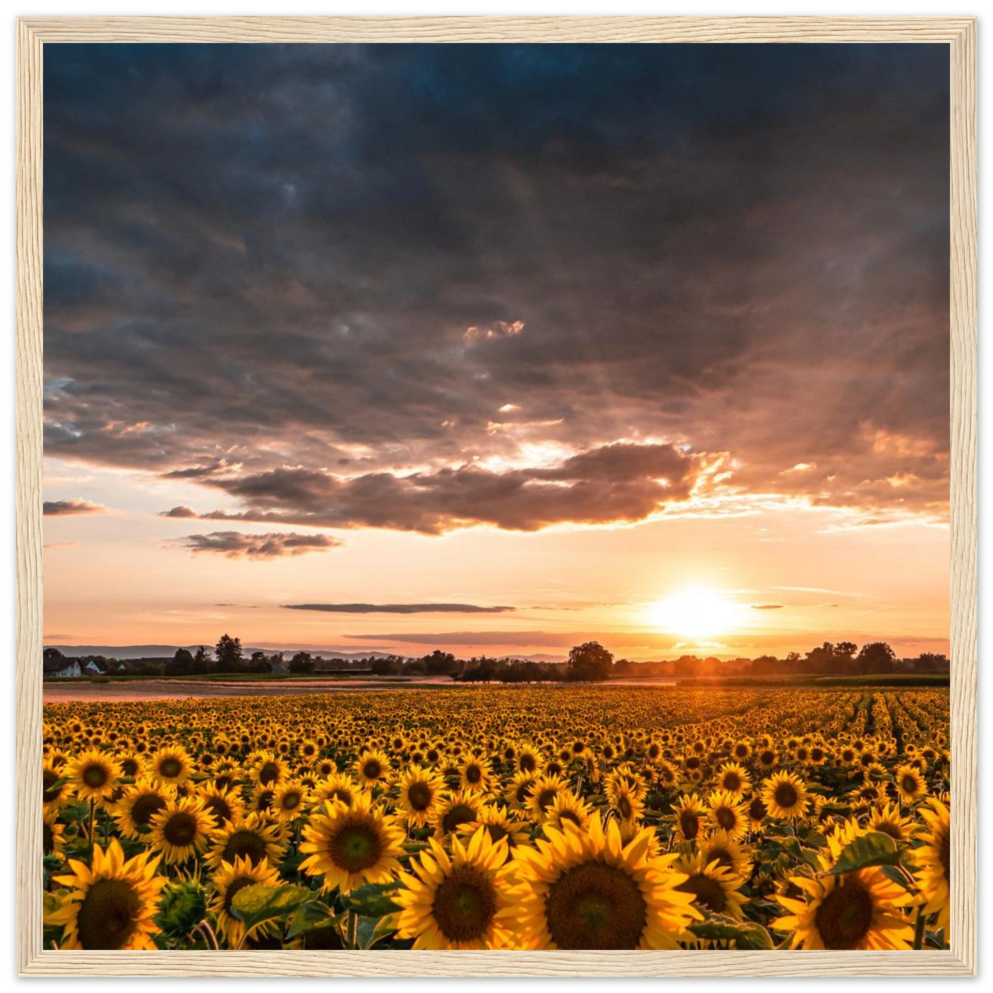 2ec3337f-dbd1-475c-865f-6223031b38fe