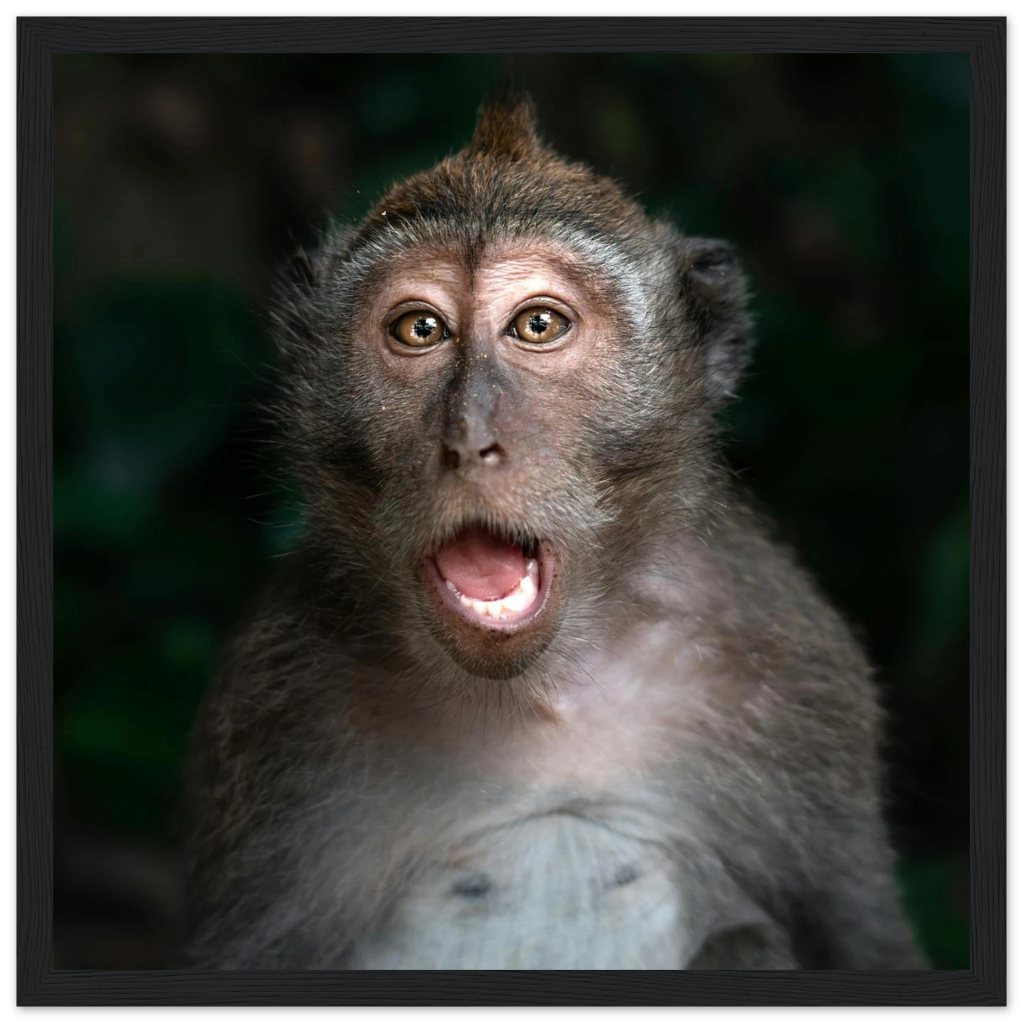 2ec97abf-69e5-4e3e-8532-08e3a7f6c774