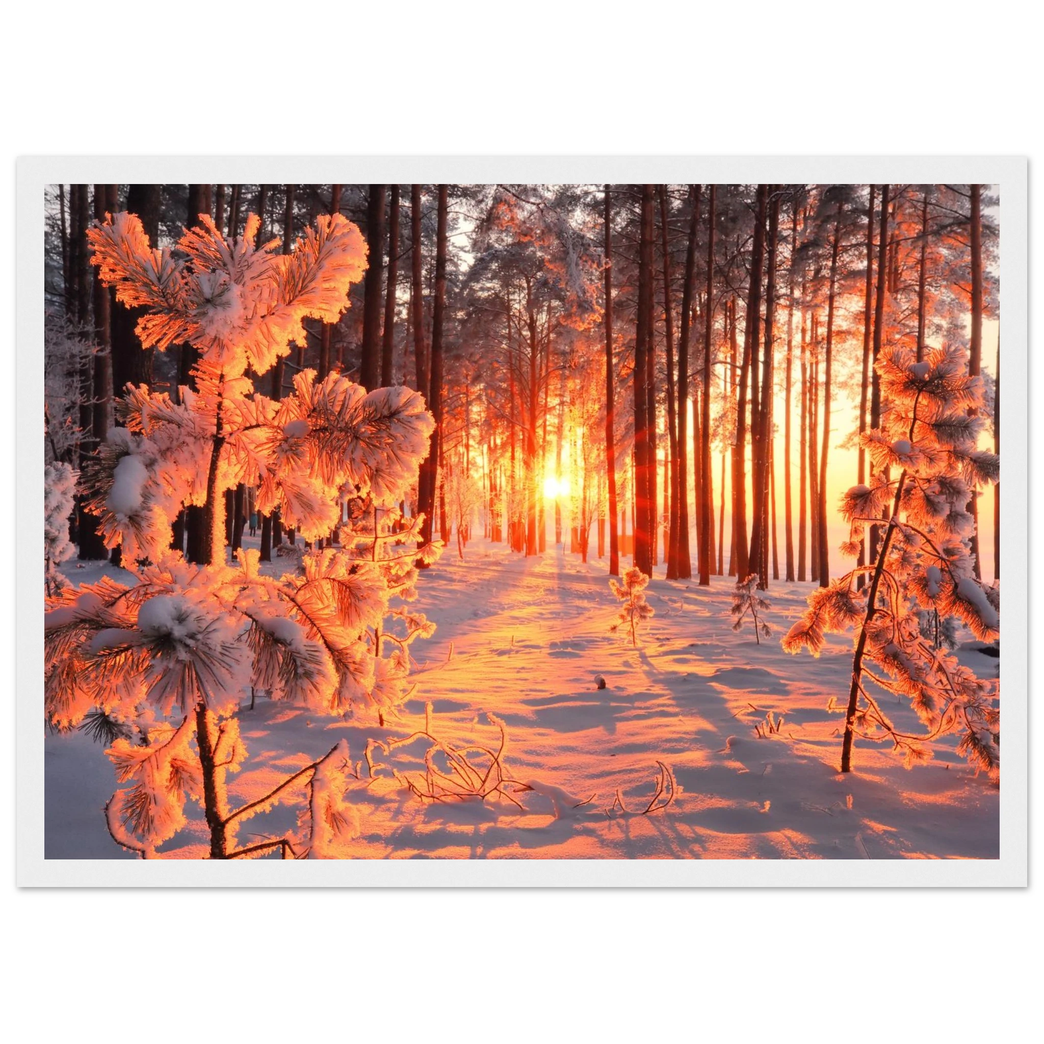 2ecf1b48-8d4d-4b57-991f-3db0c687d26e