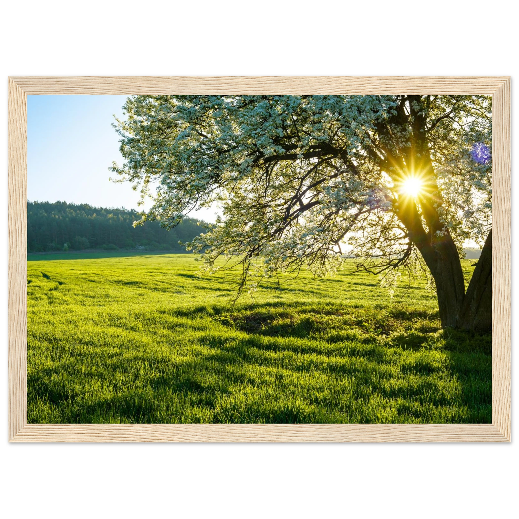 2f233419-3d95-42d0-8083-25d68510ced9