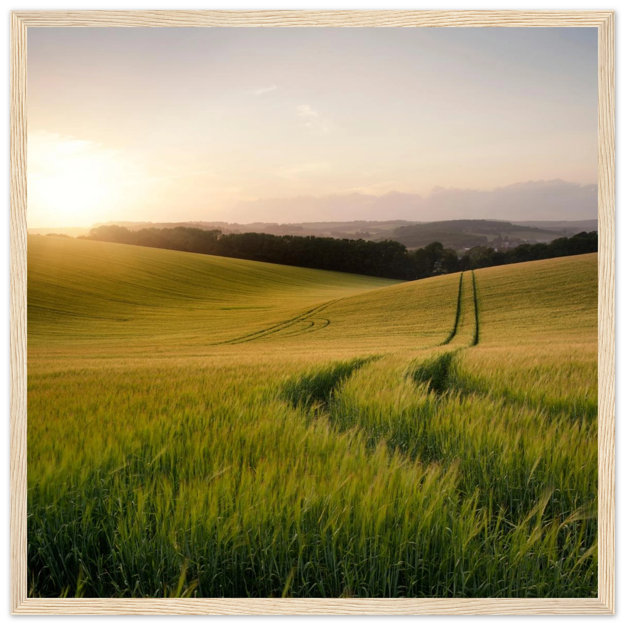 2f281cd7-8299-4c74-87eb-8ade19d11d56