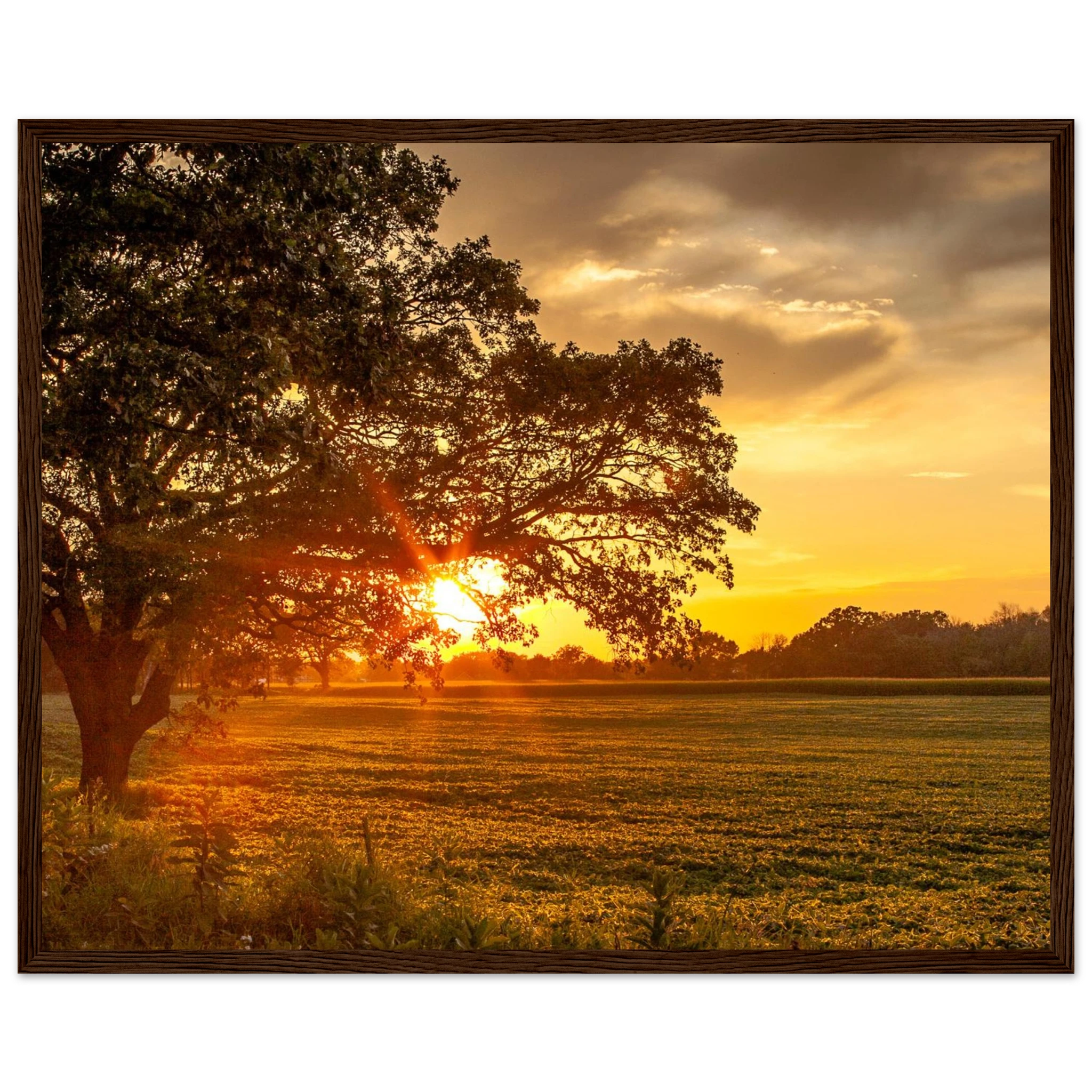 2f39a77a-a7c1-4409-abfd-1139991af912